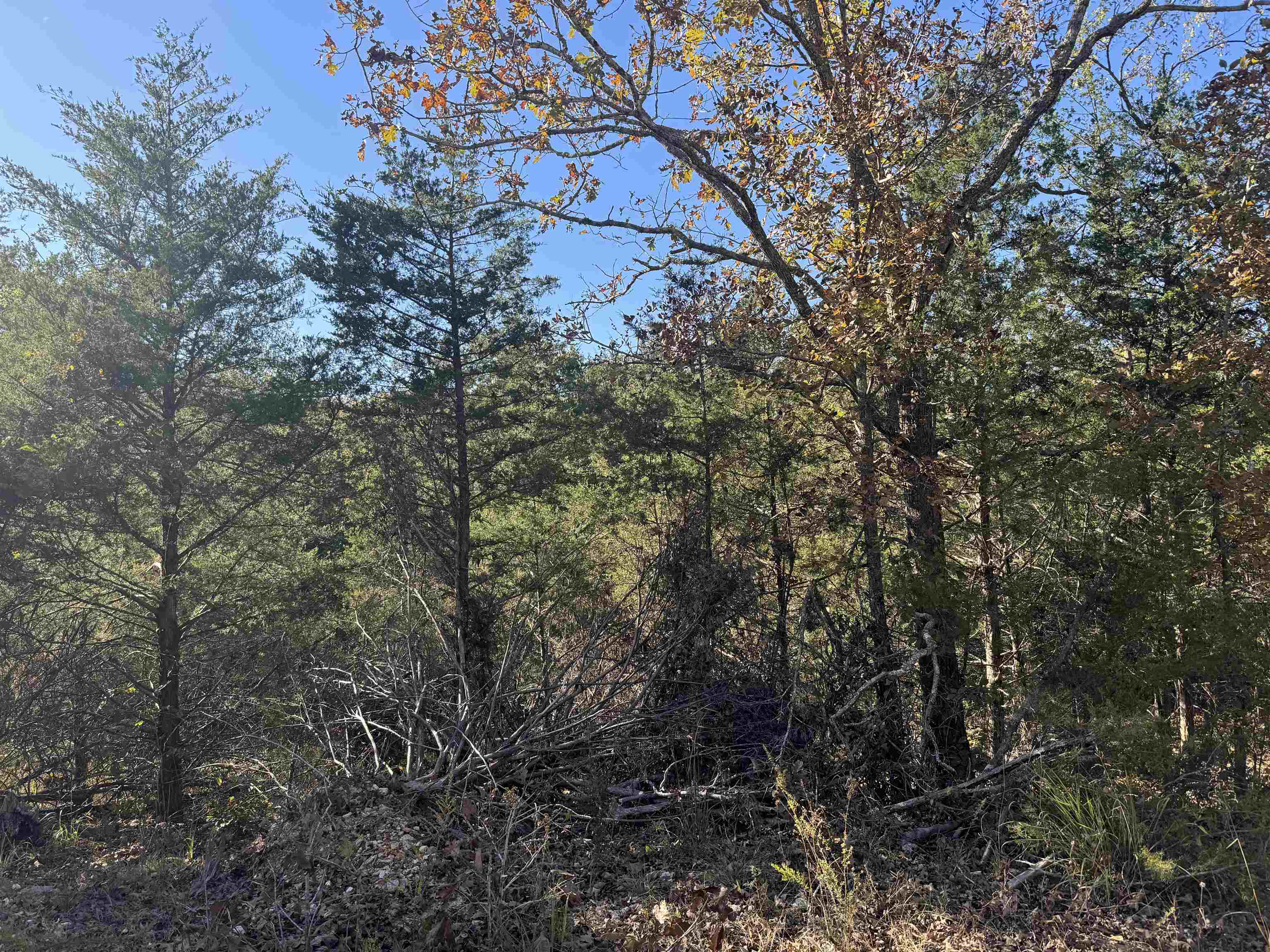 MCFADDEN ADNN BLUFFS - Land