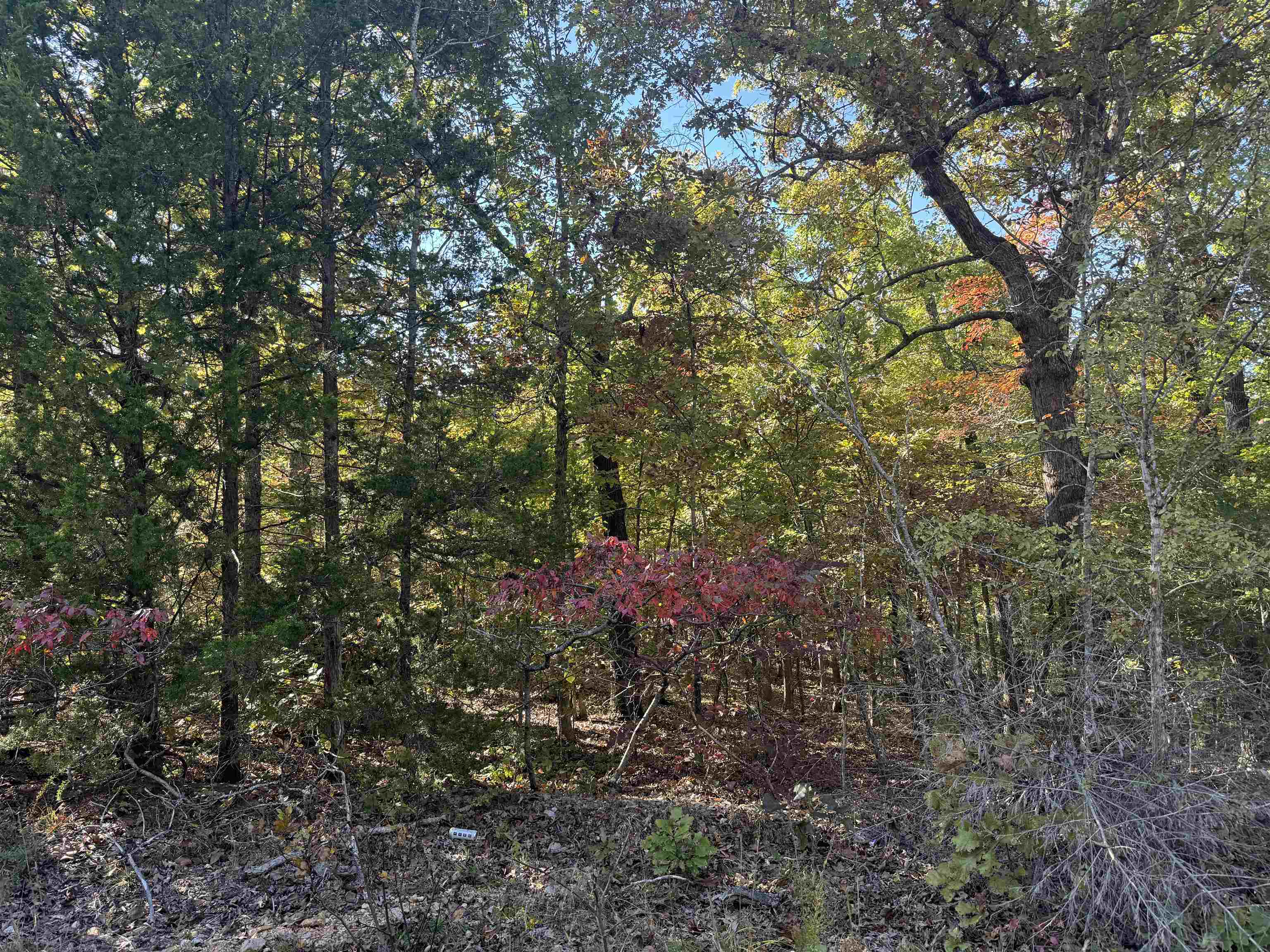 MCFADDEN ADNN BLUFFS - Land