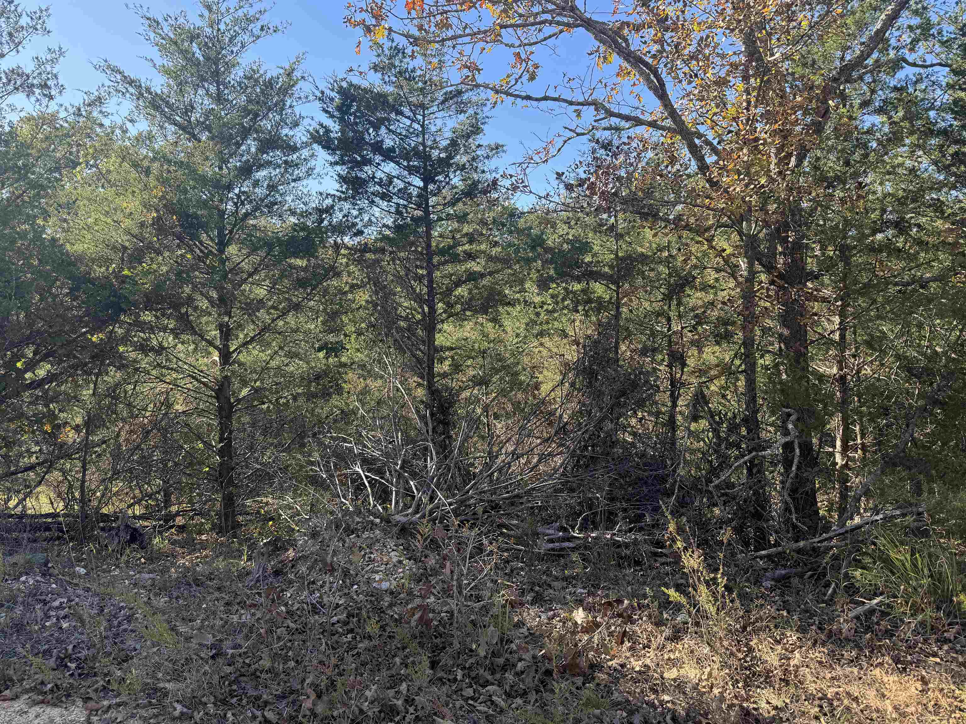 MCFADDEN ADNN BLUFFS - Land