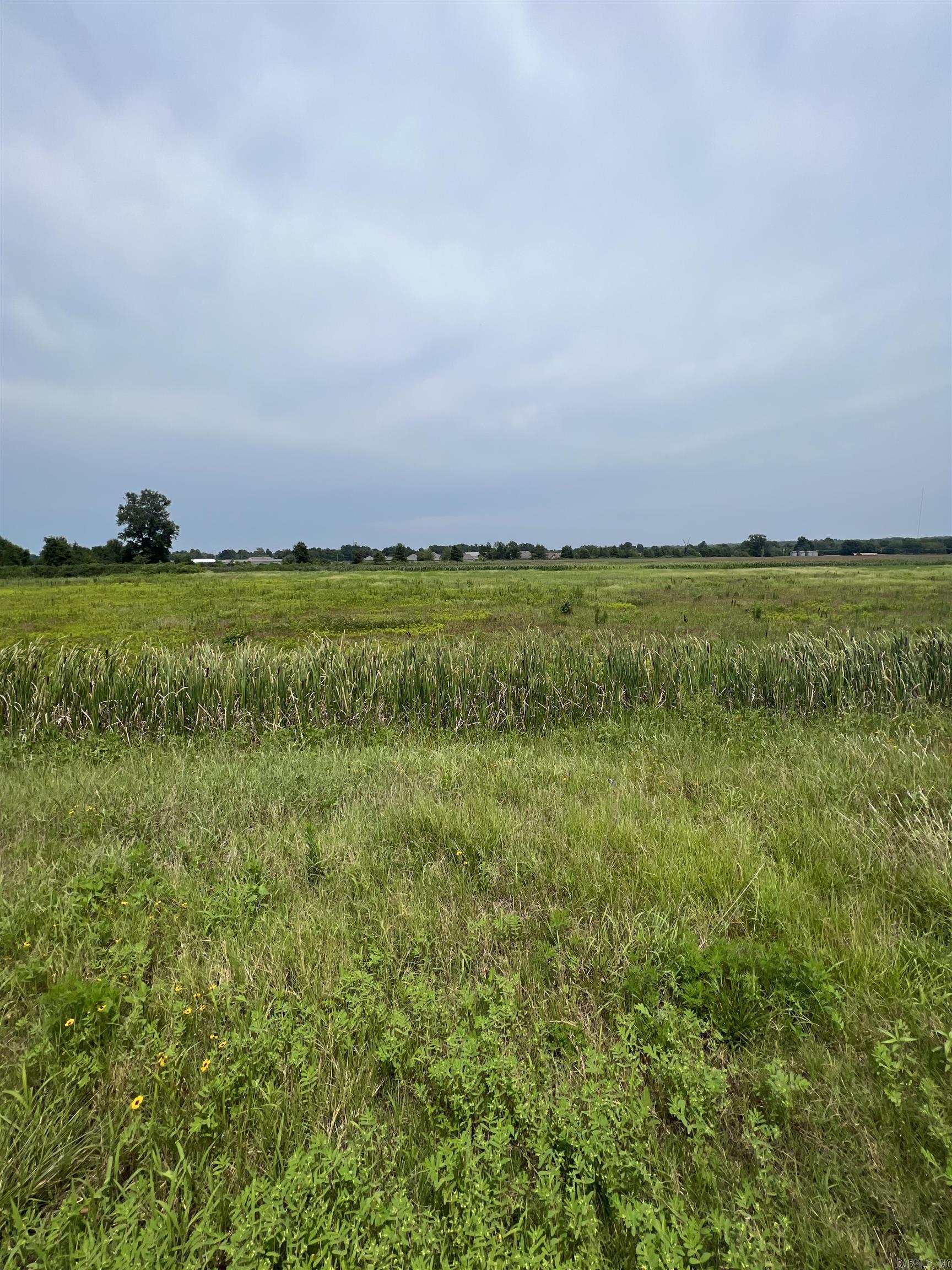 Metes & Bounds - Commercial Sale