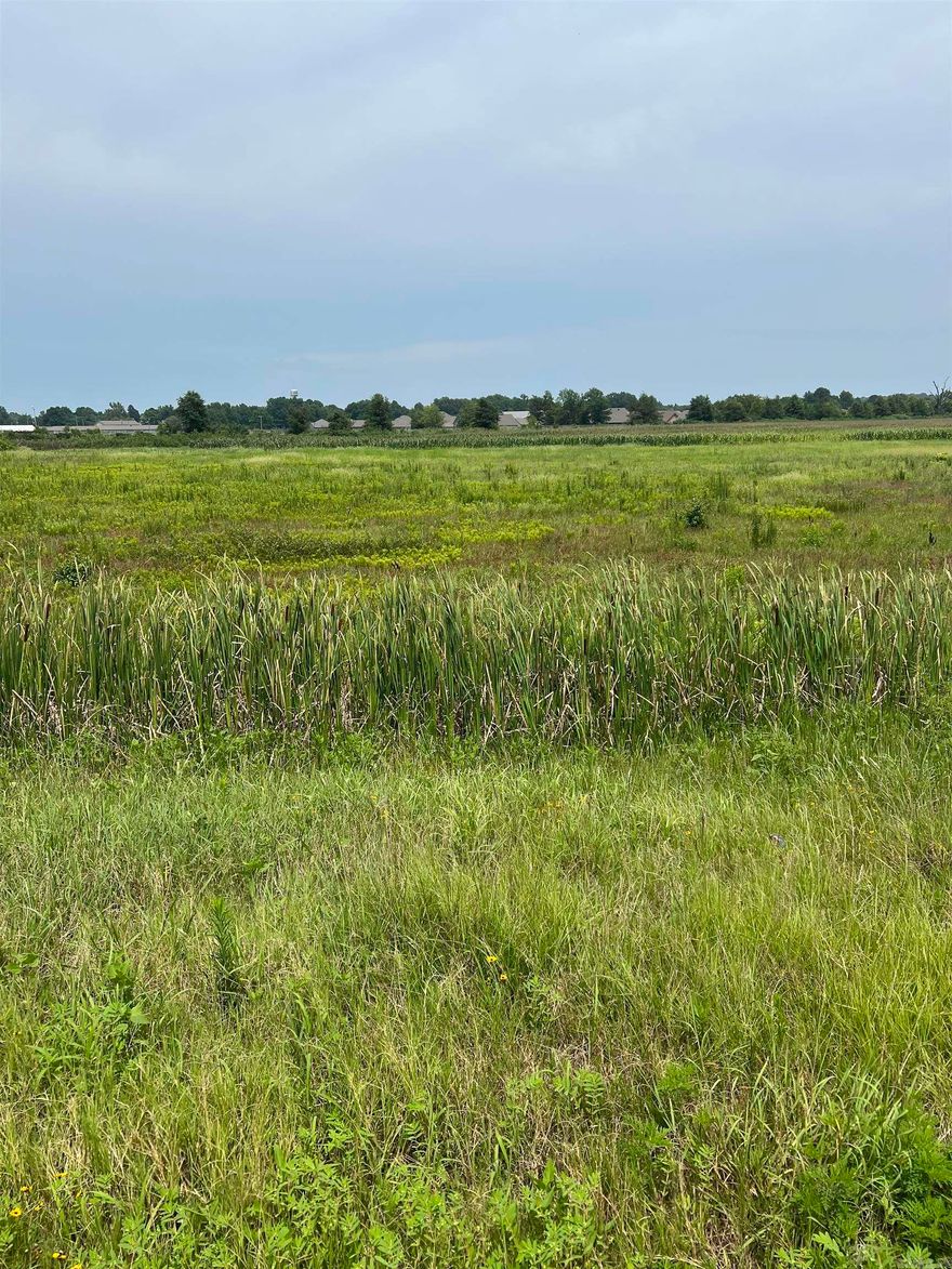 Prime location with high traffic and visibility along Hwy 63 in Bono. 1.64 acres of commercial land perfect for any type of business.