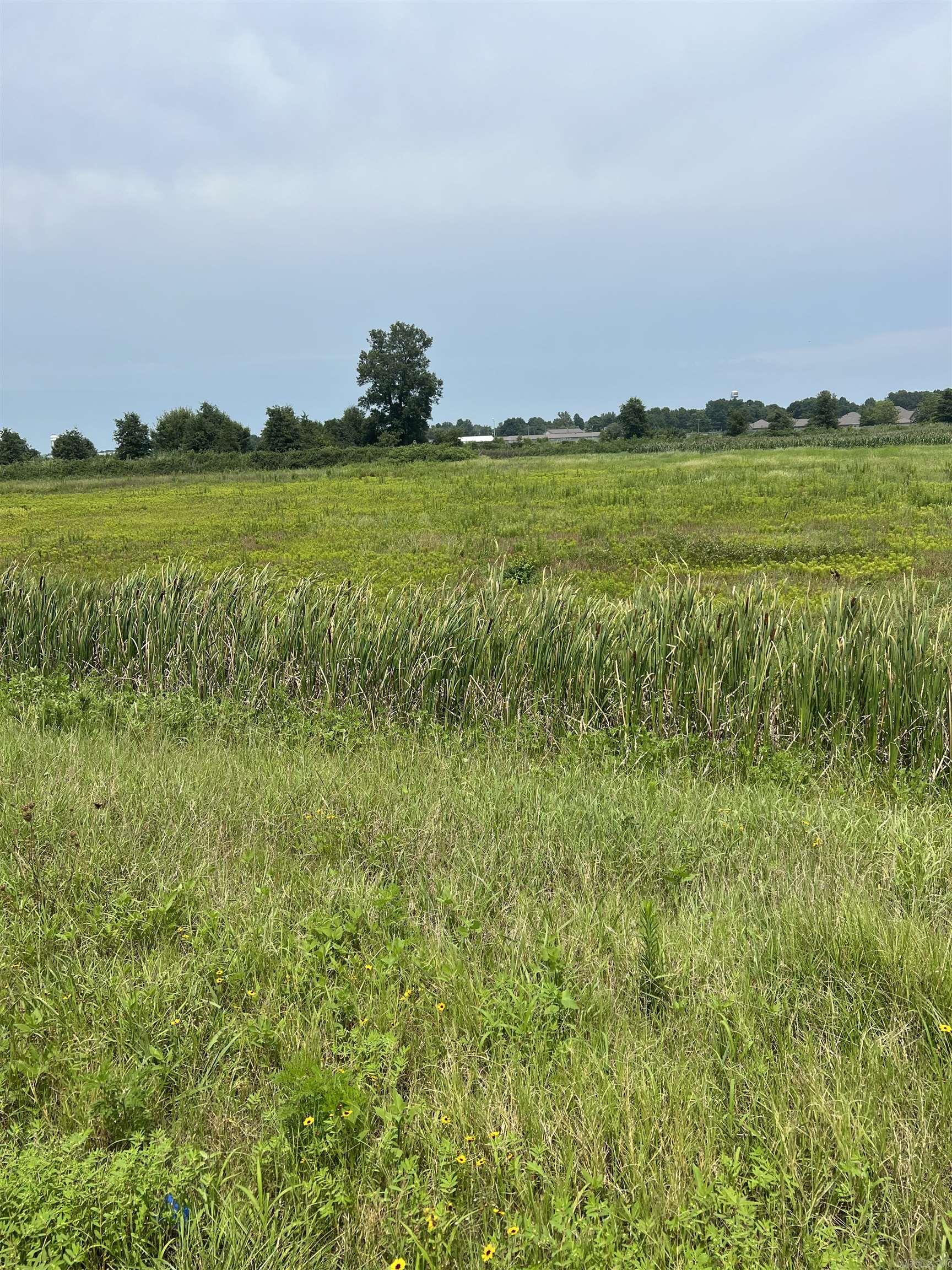 Metes & Bounds - Commercial Sale