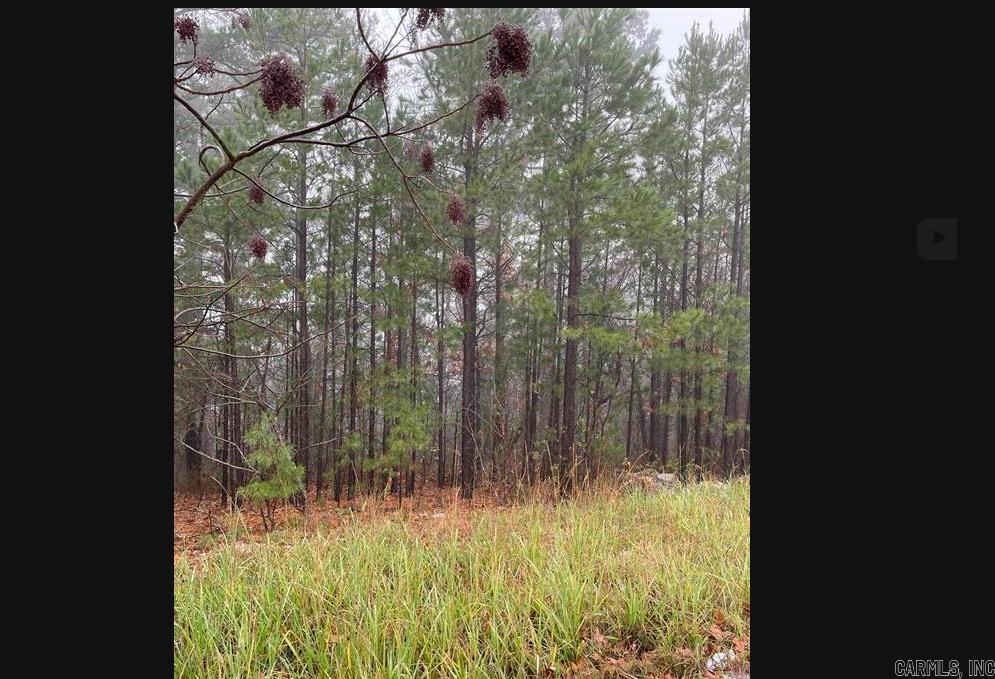 CHENAL VALLEY VARENNES COURT - Land