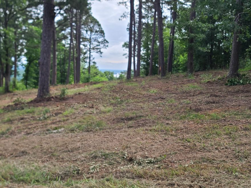 View Lot with water and gas.  Less than 2 miles to new Mayflower Overpass and I-40 on ramp at Mayflower.