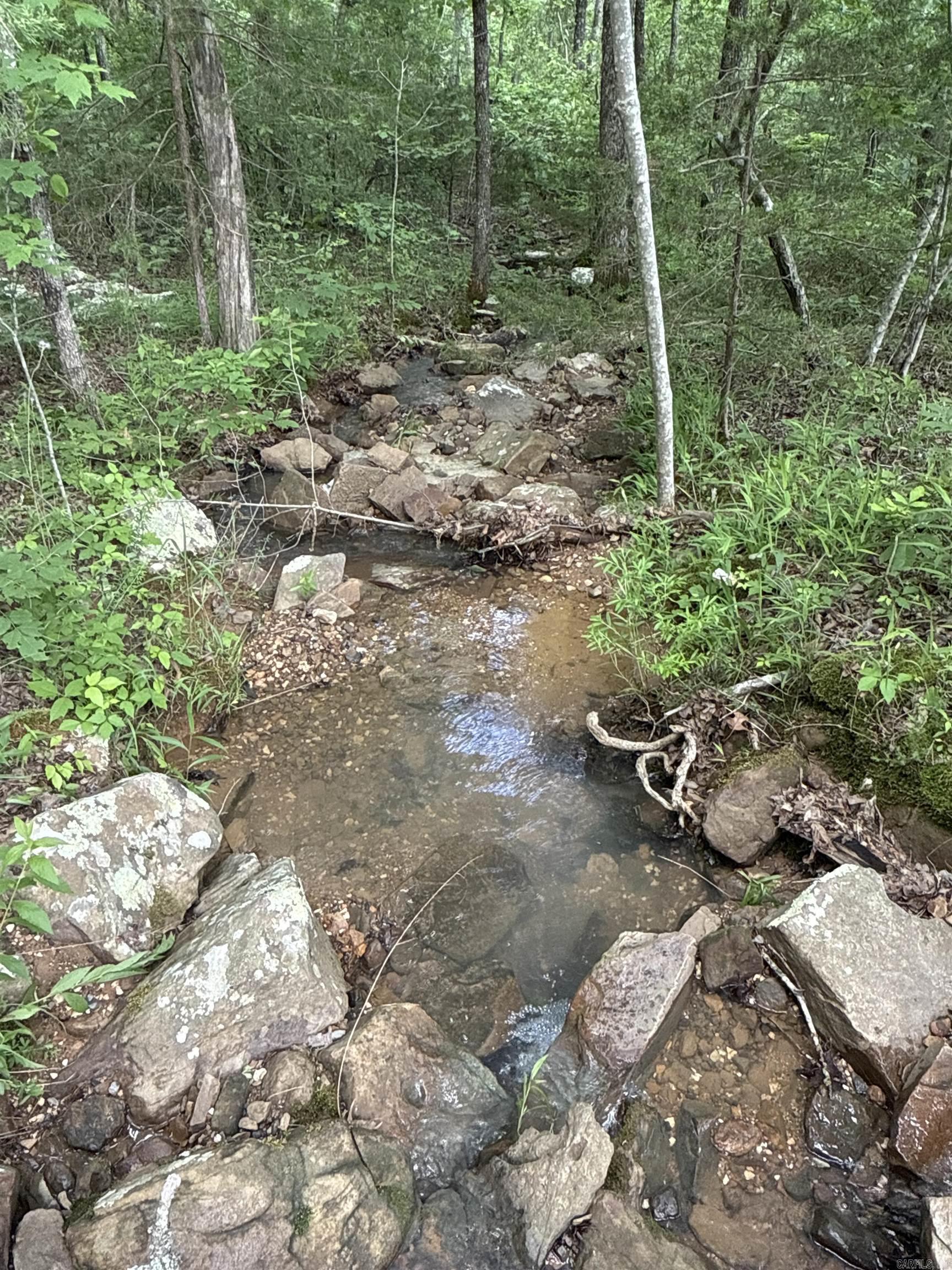 Escape to the heart of the Ozarks with this 5.8-acre parcel of vacant land nestled along Little Red River Road. Whether you're looking to build your dream home, create a private getaway, or invest in land with endless potential. This property offers the perfect canvas with it being located just a short walk to the Middle Fork of the Little Red River-perfect for fishing, swimming, and relaxing by the water. If you're seeking solitude, a weekend escape, or a smart investment, this property checks all the boxes. Bring your vision and make this piece of the Ozarks your own. Call for a showing today!