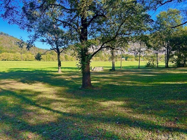 HANDFORD BLUFF VIEW ACRES - Land