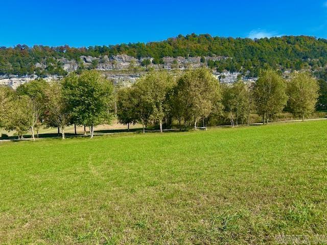 HANDFORD BLUFF VIEW ACRES - Land