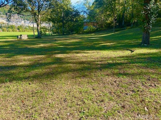 HANDFORD BLUFF VIEW ACRES - Land