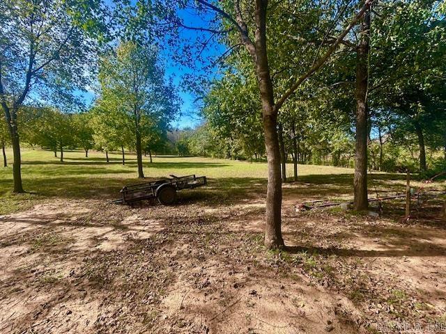 HANDFORD BLUFF VIEW ACRES - Land