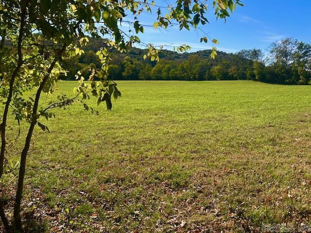 HANDFORD BLUFF VIEW ACRES - Land