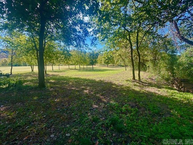 HANDFORD BLUFF VIEW ACRES - Land