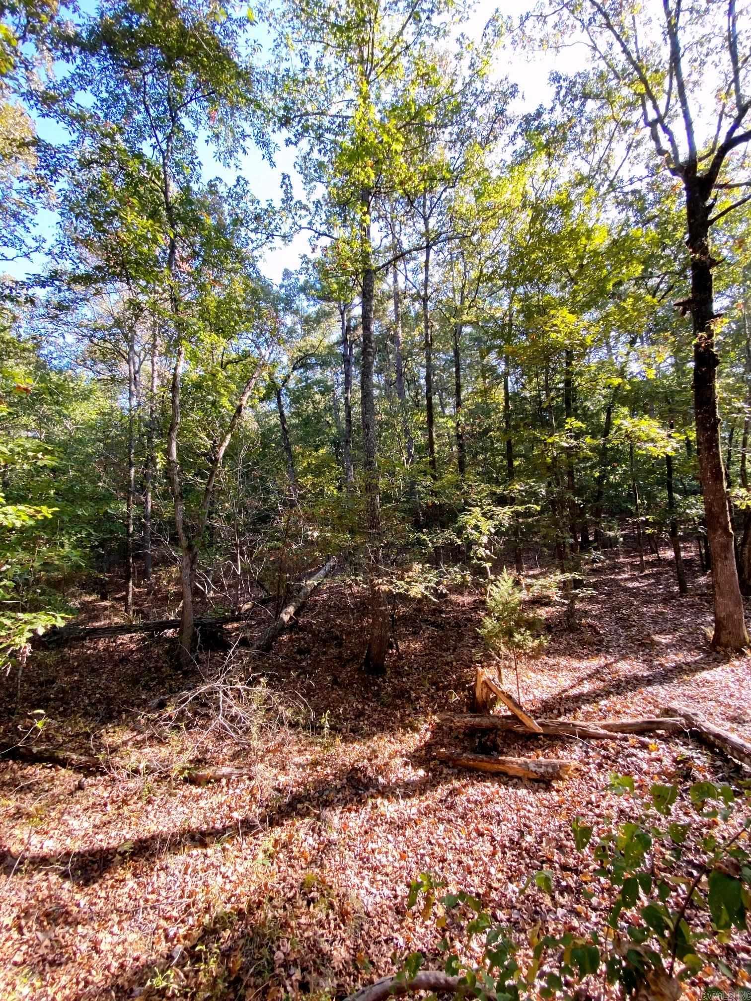 Foxridge-Burlingame - Land