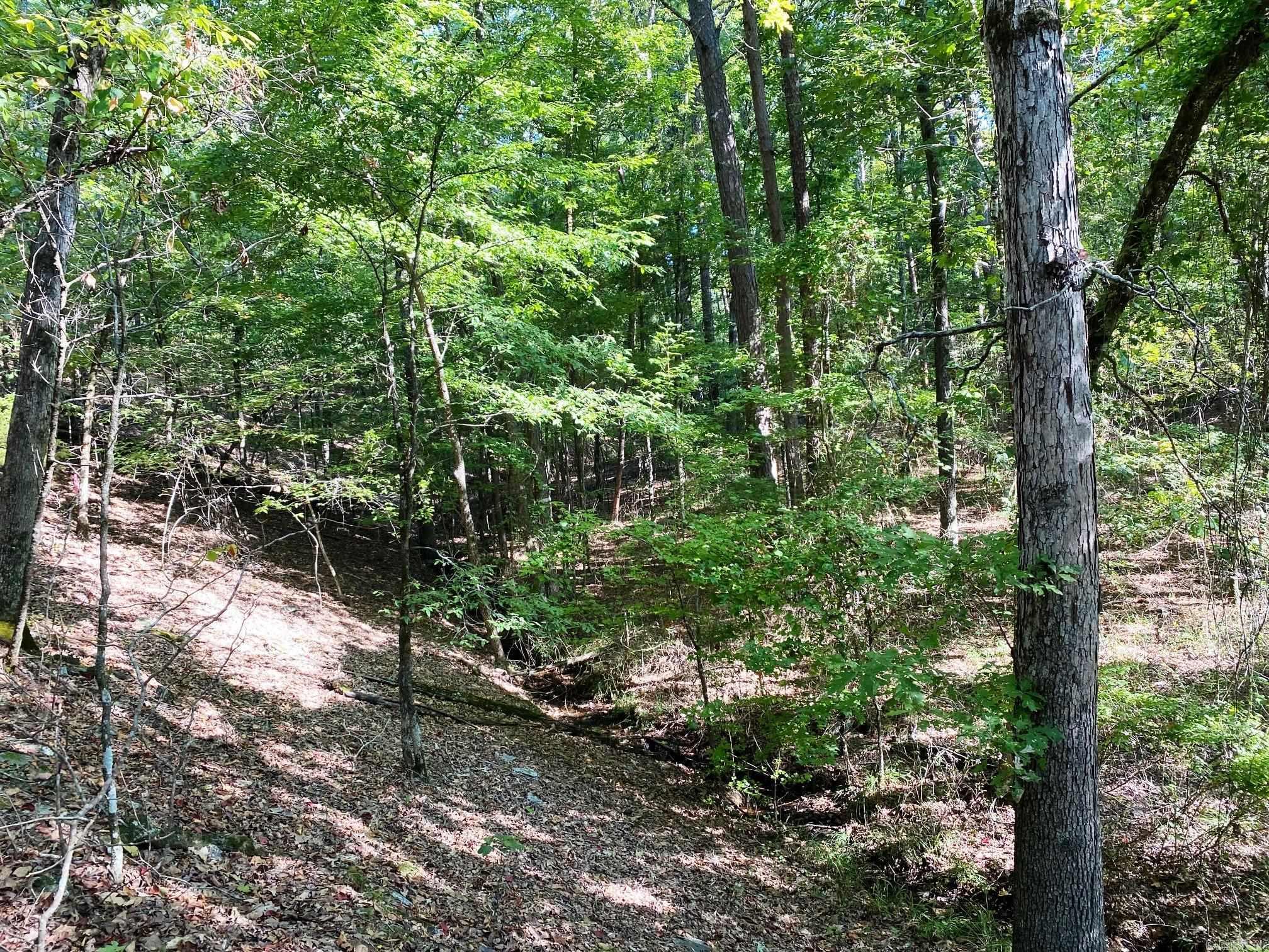 Foxridge-Burlingame - Land