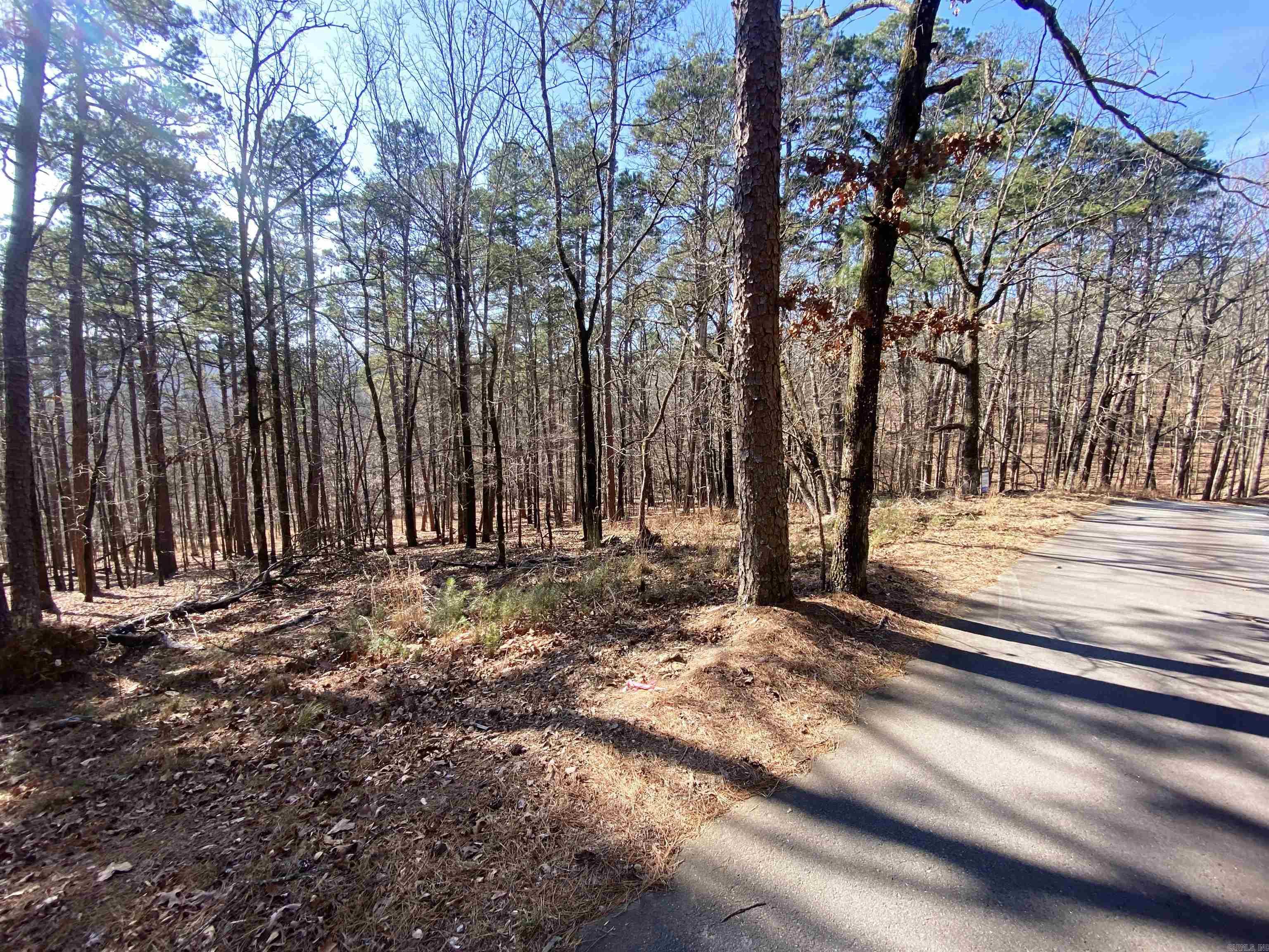 Foxridge-Burlingame - Land