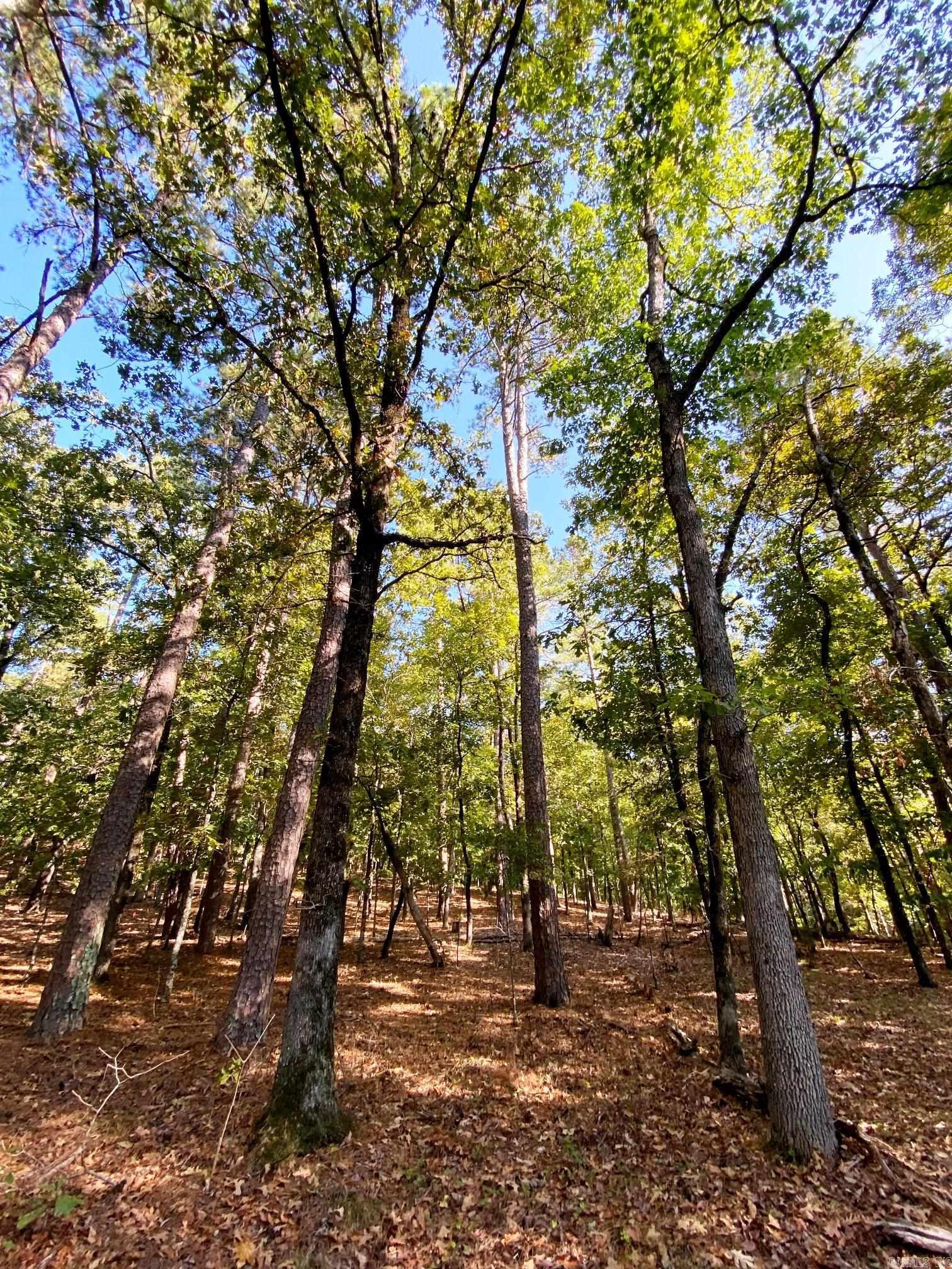 Foxridge-Burlingame - Land