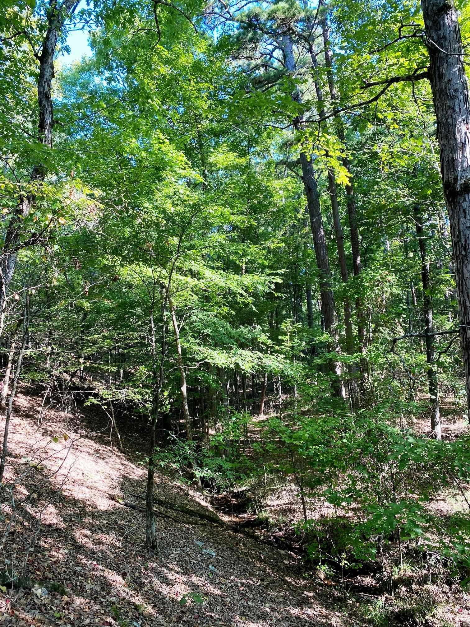 Foxridge-Burlingame - Land