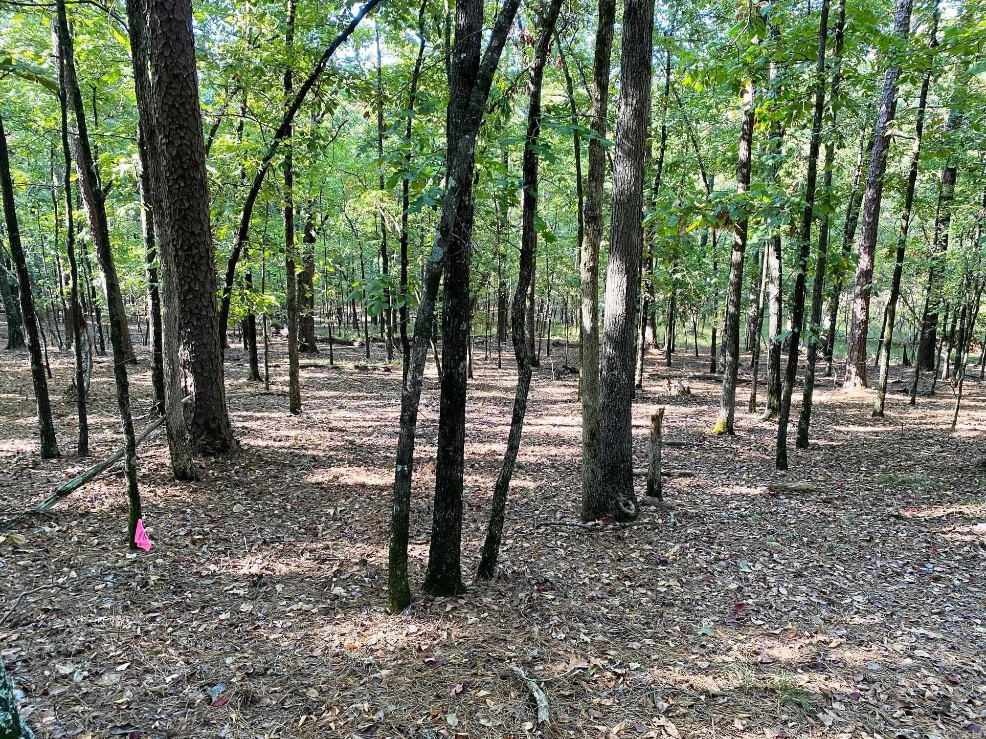 Foxridge-Burlingame - Land