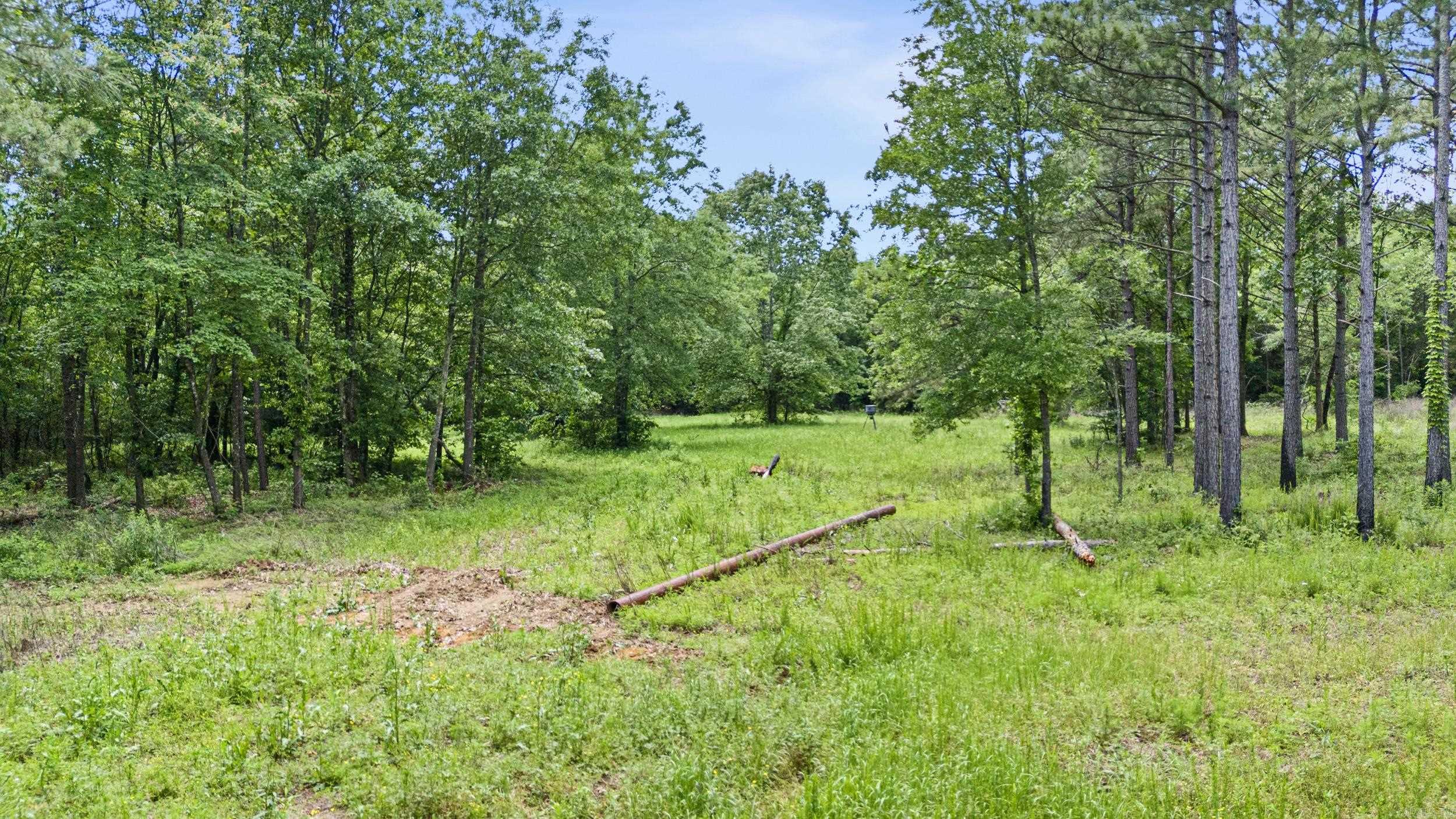 Metes & Bounds - Farm