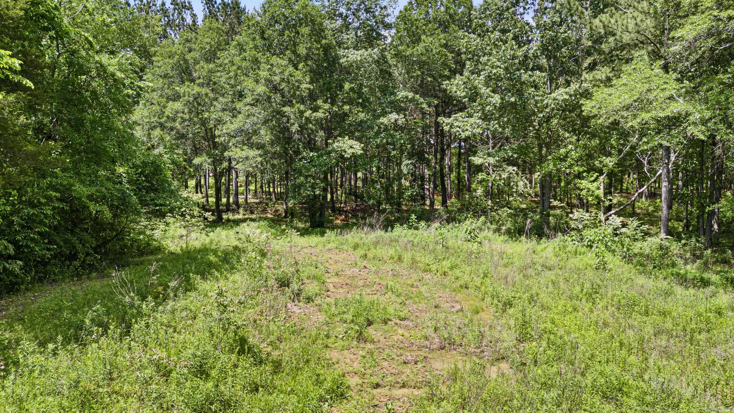 Metes & Bounds - Farm