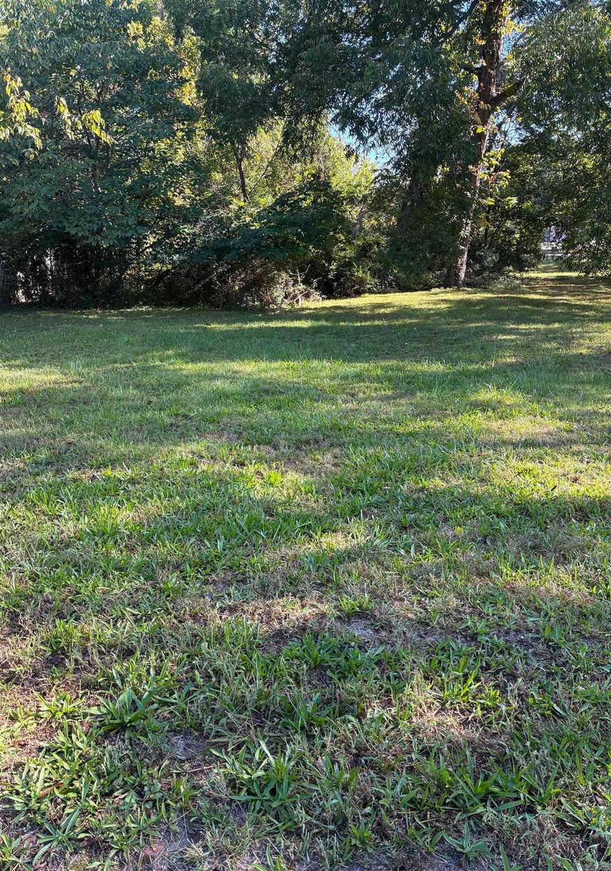 Discover this charming lot just right off of Grand Ave. in Hot Springs, Arkansas, just moments from the vibrant downtown. This 0.09-acre level lot is ,mostly grassy, with a small cluster of trees in the back, adding a touch of nature. The location offers the perfect blend of conveniences and charm, with quick access to shopping, dining, and historic bathhouses.