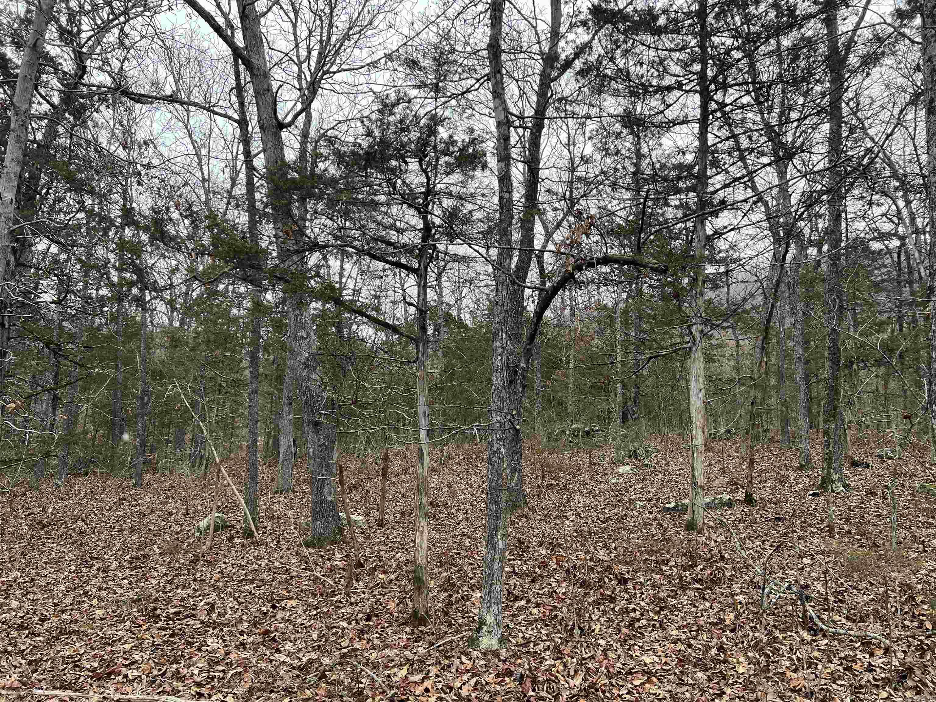 40 Acres M/L of great hunting land with no restrictions. This secluded wooded property features nice views, big boulders, multiple build sites, seasonal creek, and much more. Call today to schedule a showing behind the locked gate.