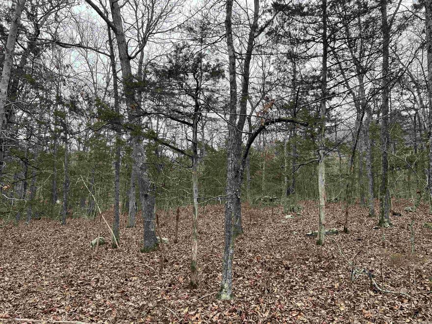 39.42 Acres M/L of great hunting land with no restrictions. This secluded wooded property features nice views, big boulders, multiple build sites, seasonal creek, and much more. Call today to schedule a showing behind the locked gate.
