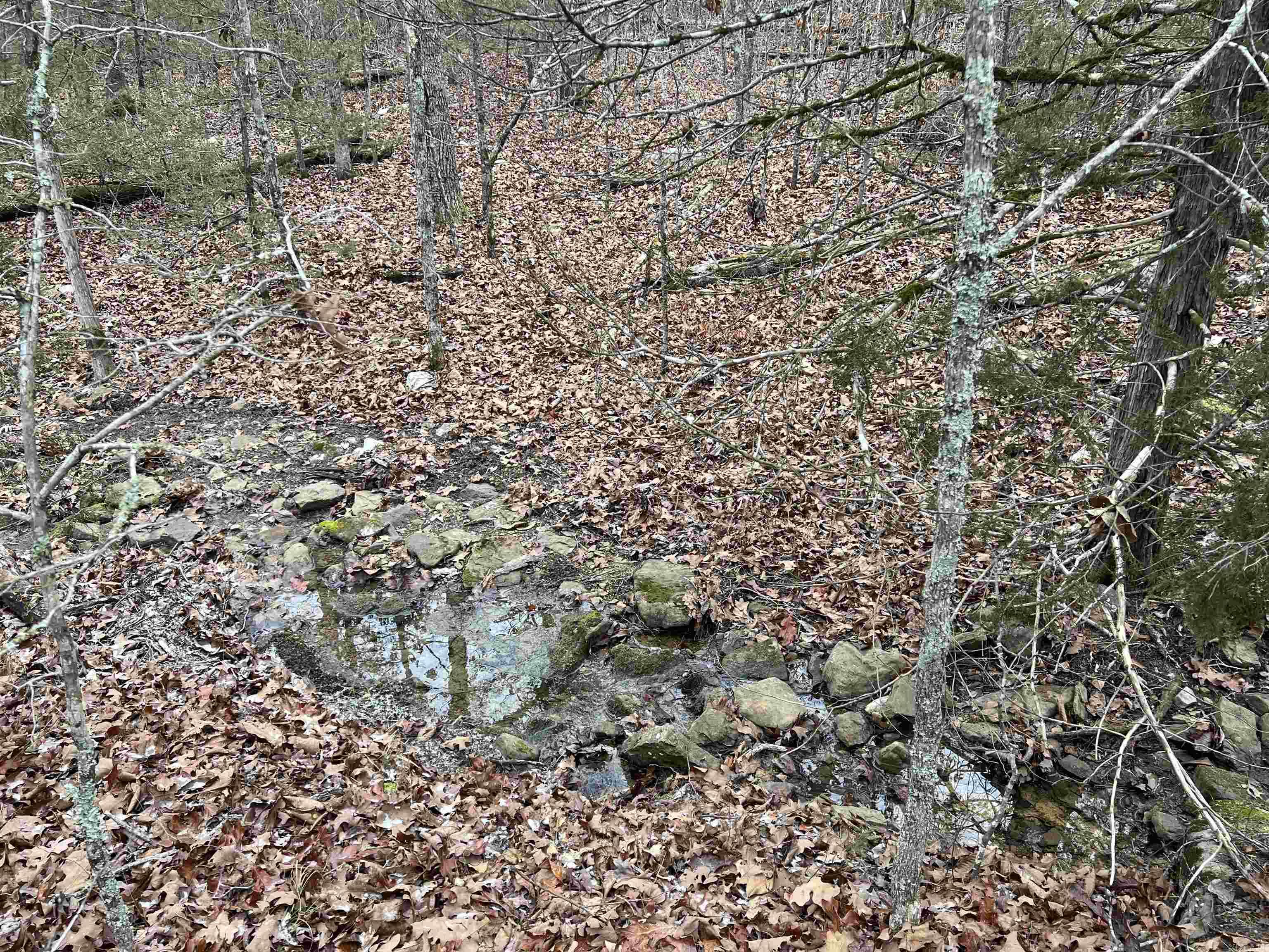 Metes & Bounds - Land