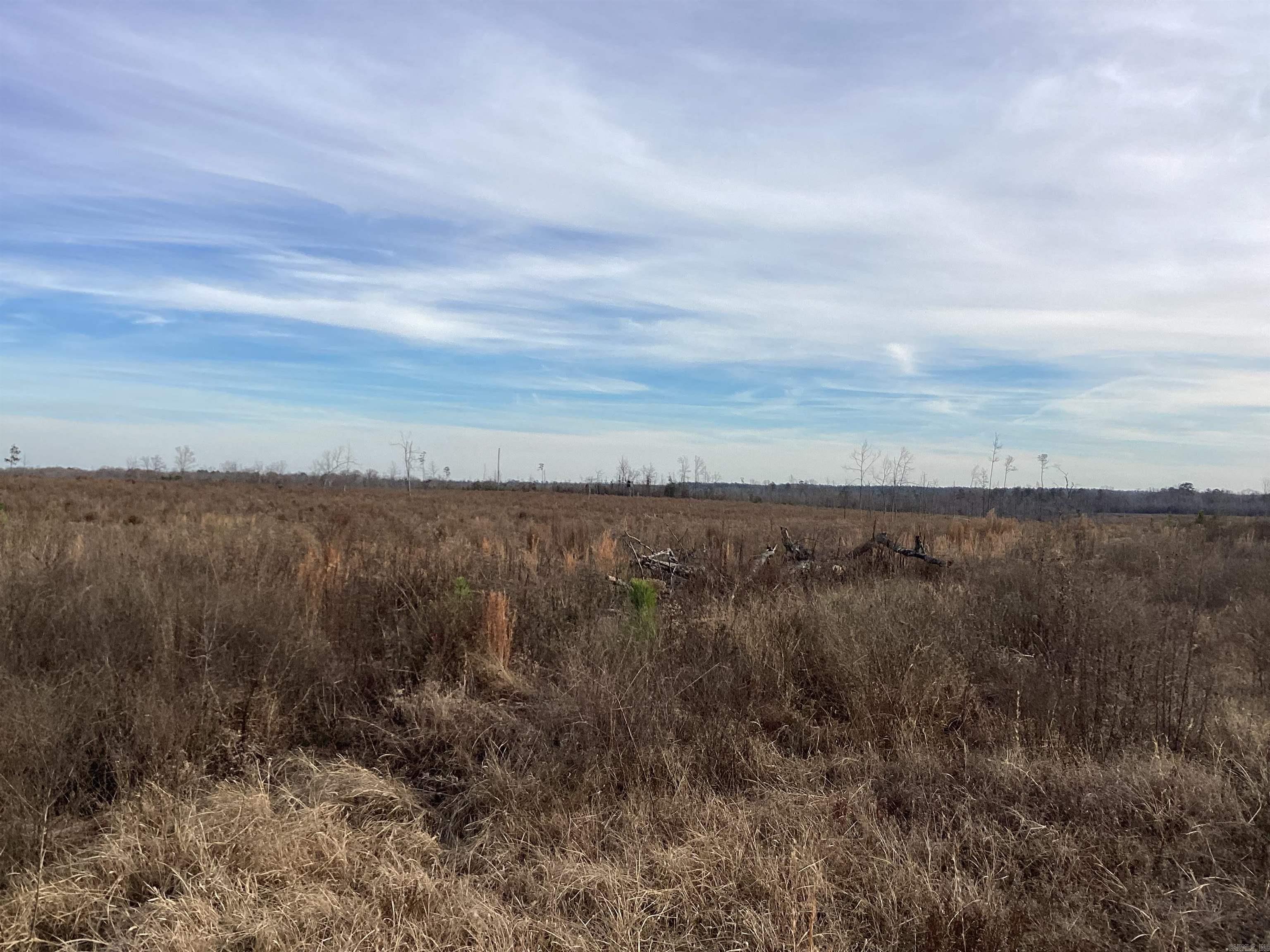 Secluded property with one road in and out. Easement on road, hardwood clear cut 10 years ago. Hunter's dream! Loaded with a variety of wildlife including big deer and turkeys. All three parcels zoned (AV) Agri Use/Vacant.