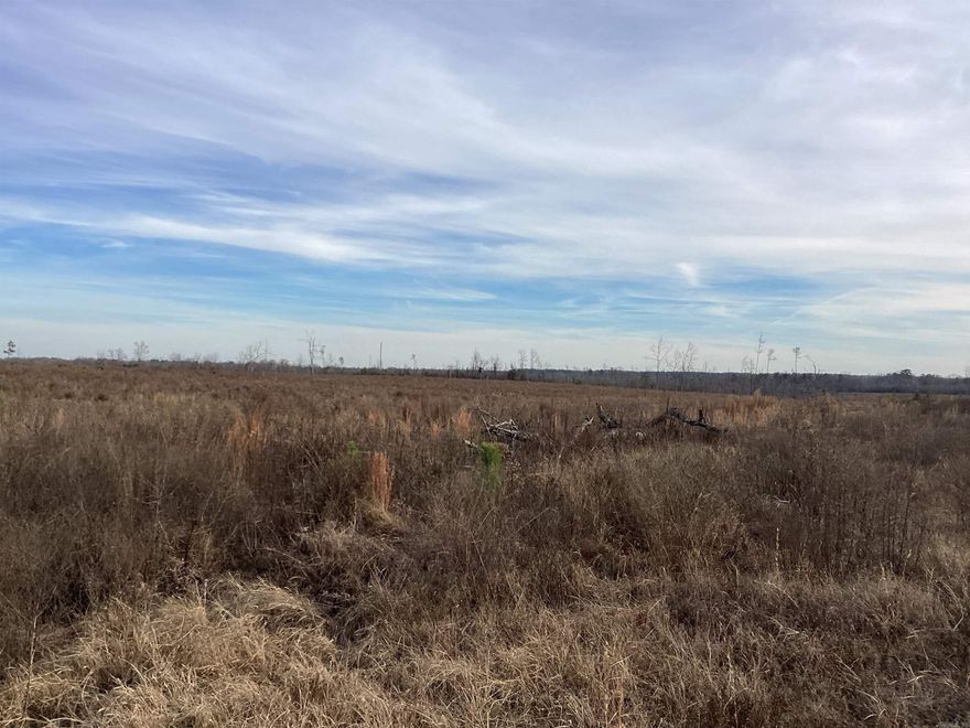 Secluded property with one road in and out. Easement on road, hardwood clear cut 10 years ago. Hunter's dream! Loaded with a variety of wildlife including big deer and turkeys. All three parcels zoned (AV) Agri Use/Vacant.