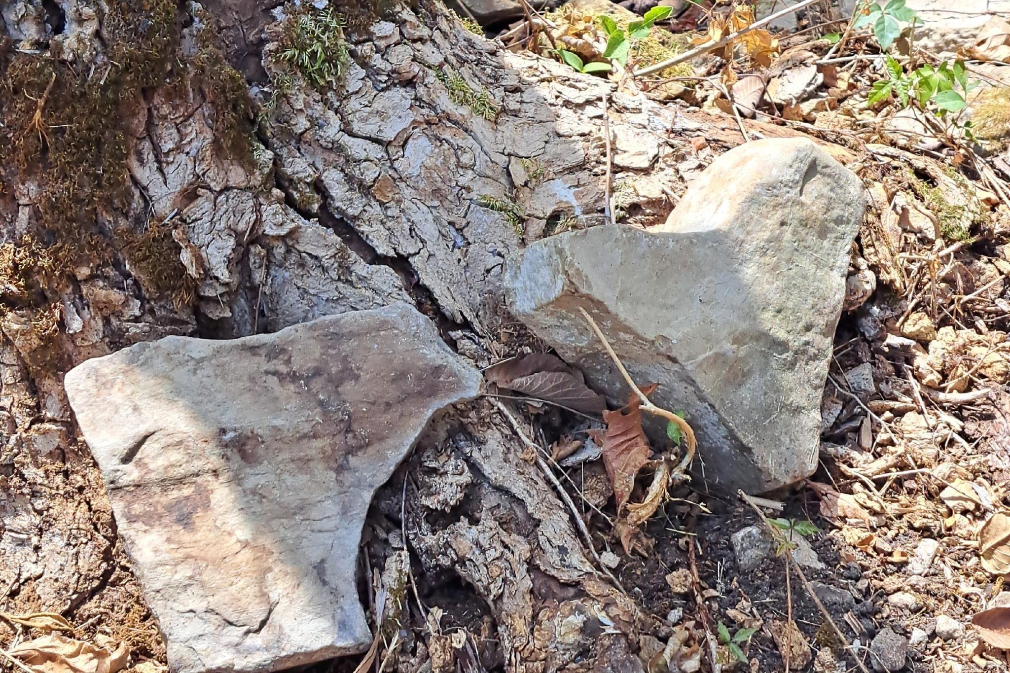 Norfork - Residential