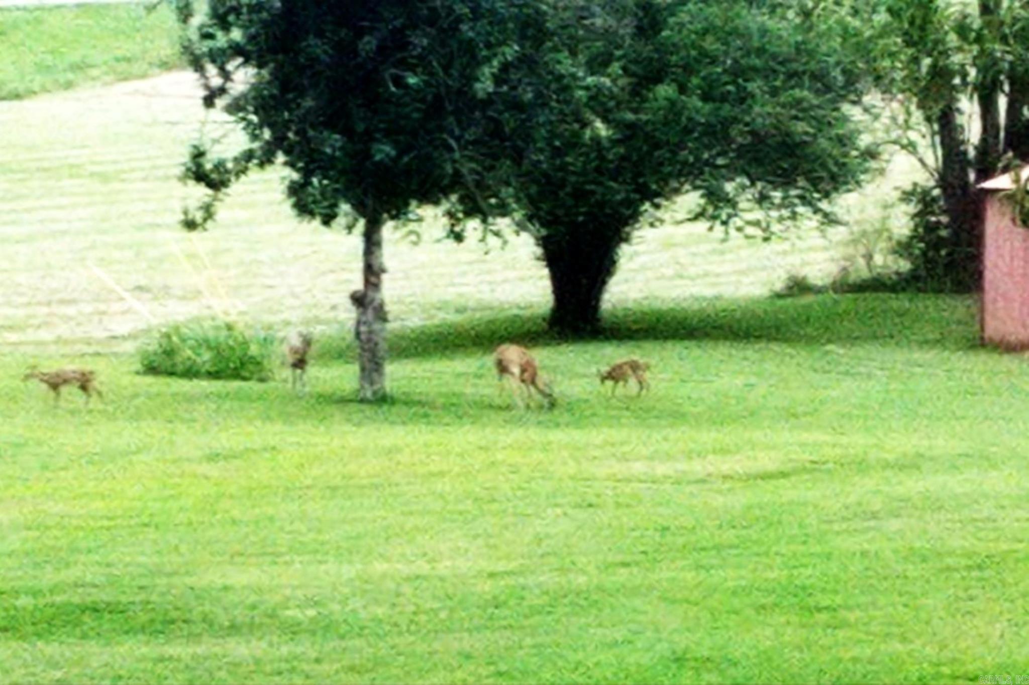 Norfork - Residential