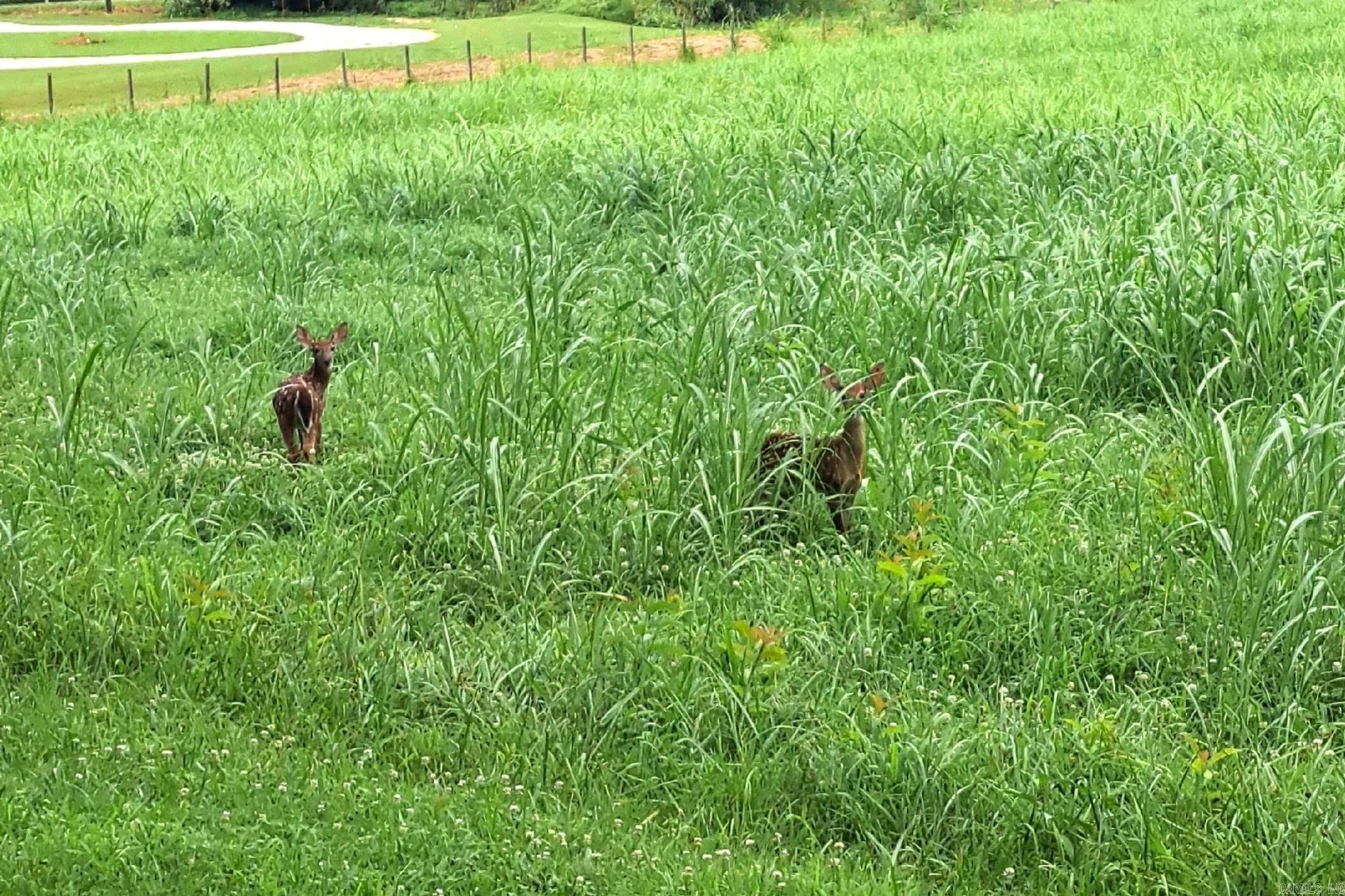 Norfork - Residential