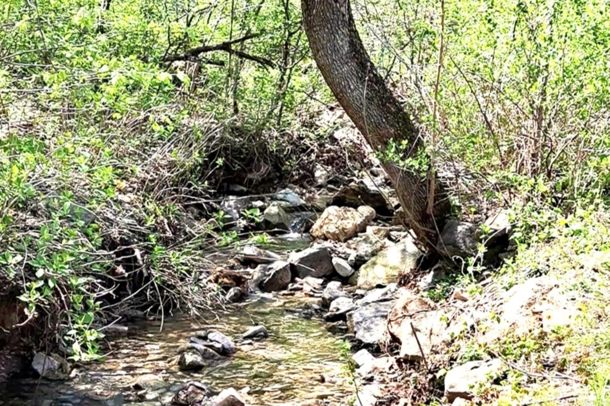 Norfork - Residential