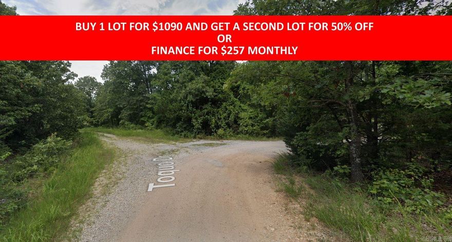 Buy one lot and get 50% off an additional lot! Part of a set of adjoining lots available. Owner-finance for easy terms. Cash buyers can pay by debit or credit card as well. Nice lot to develop or hold for future value. Public water and electric are available to run to property and will need septic. Owner/agent. No mobiles allowed. 300-2500 minimum build size on any other type of home, depending on subdivision. Finance is 5 months at $257 and closing costs are included. Buyer responsible for any back, current and future taxes owed on this property. Lots marked with red banner are part of promotion. No limit on lots. Buyer responsible for any/all taxes and lots sold "as-is". Quit claim deed conveys. Parcel ID# 200-13752-000