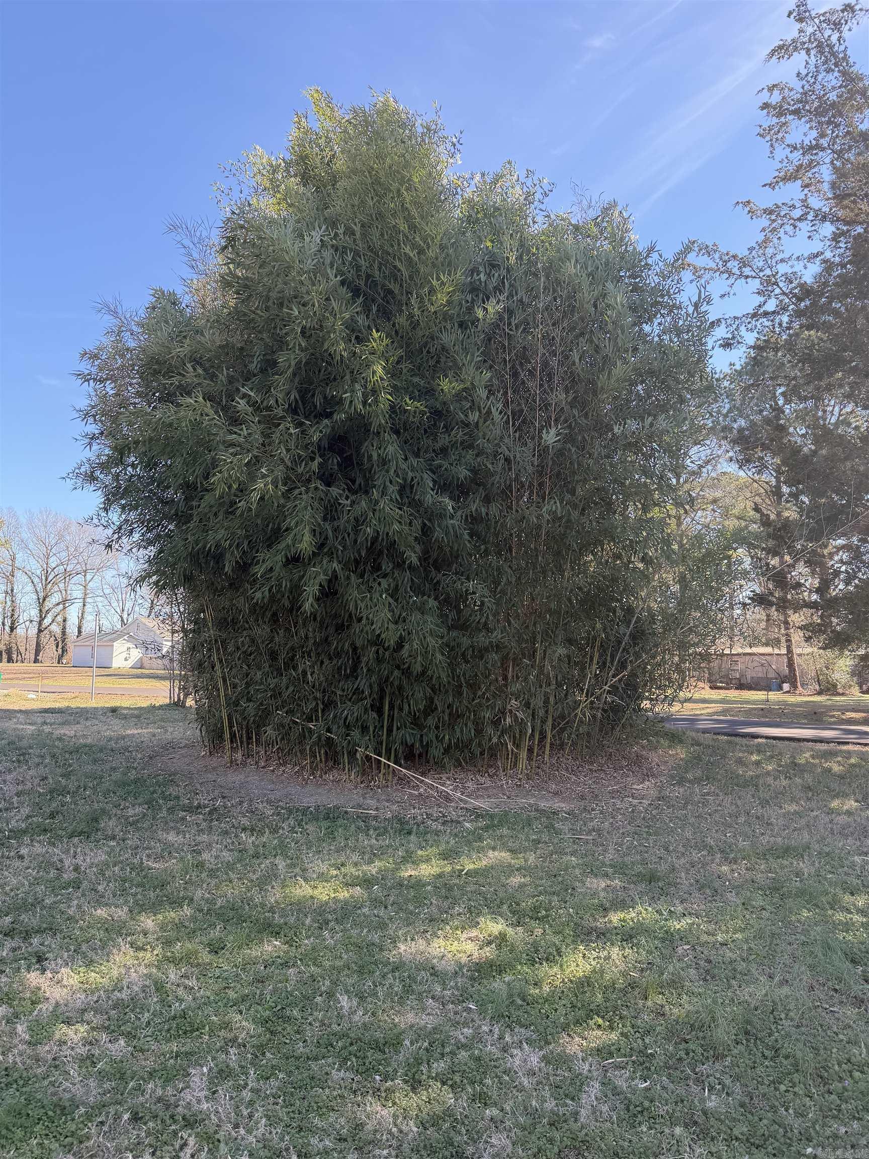 West Point Original - Land