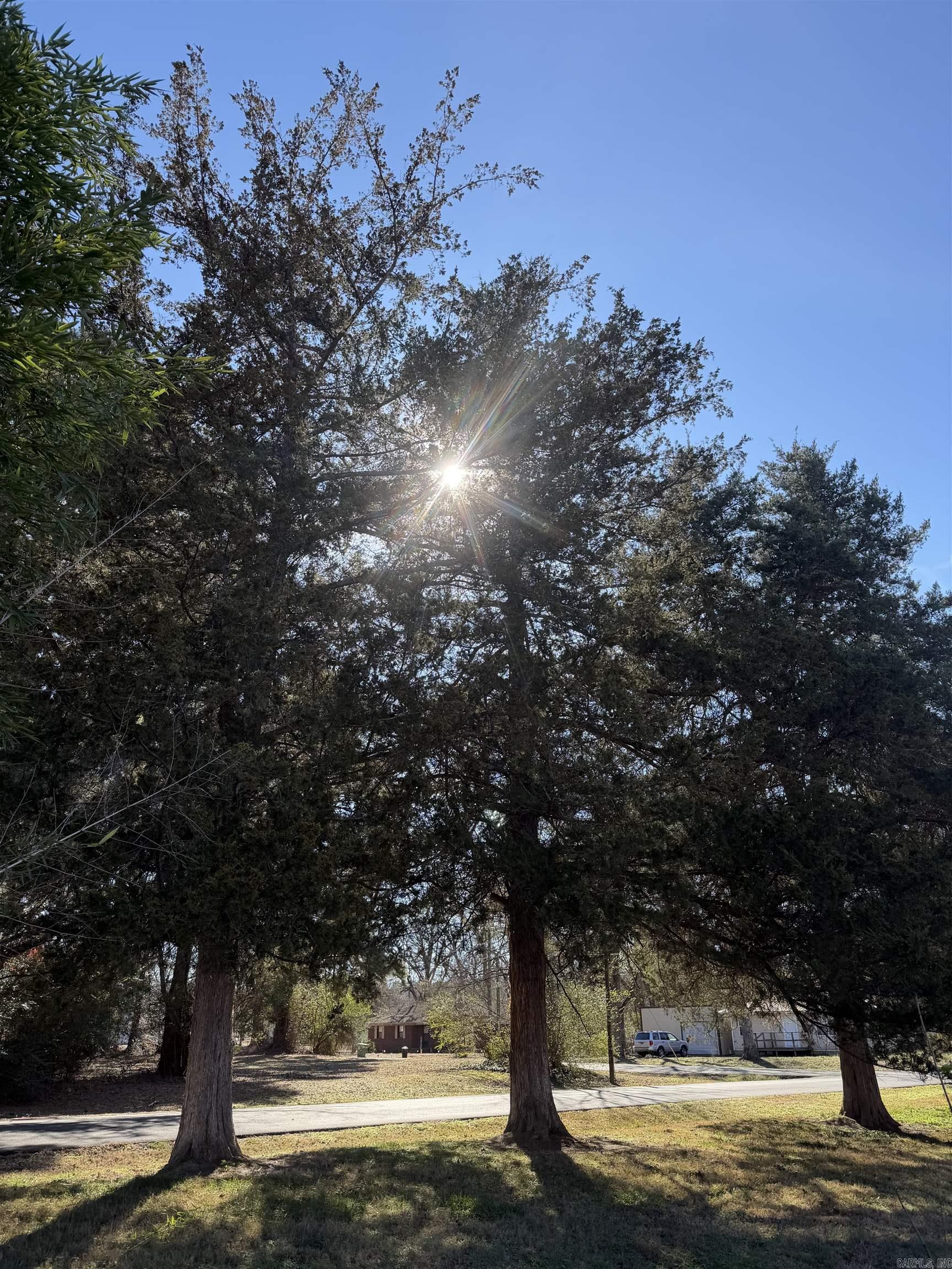 West Point Original - Land