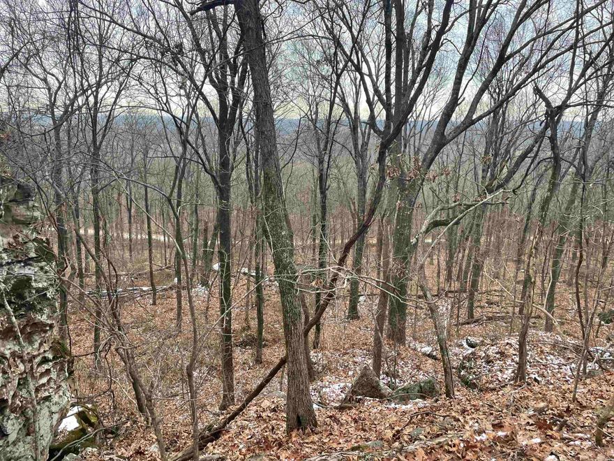 Incredible 5 +/- Acre property, unique rock formations, gravel road frontage, views looking over Jamestown Bottoms, and surrounded on two sides by the Arkansas Natural Heritage in the Foushee Cave Natural Area. With this, you would have access to put in for permits and have your own private hunting property at your backdoor!  This is just sitting above Batesville, looking down over the Jamestown Bottoms, and would make an incredible place to build a home or cabin!  These rock formations are unique!  I have included some maps of the Foushee Cave Natural Area with the hunting seasons for the end of 2023-2024 and all the information on it.