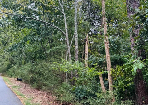 25 LEE LN, MABELVALE, AR 72103 - Image 7e35511e3bf36f8aaac4607df5e84cc9/974428488