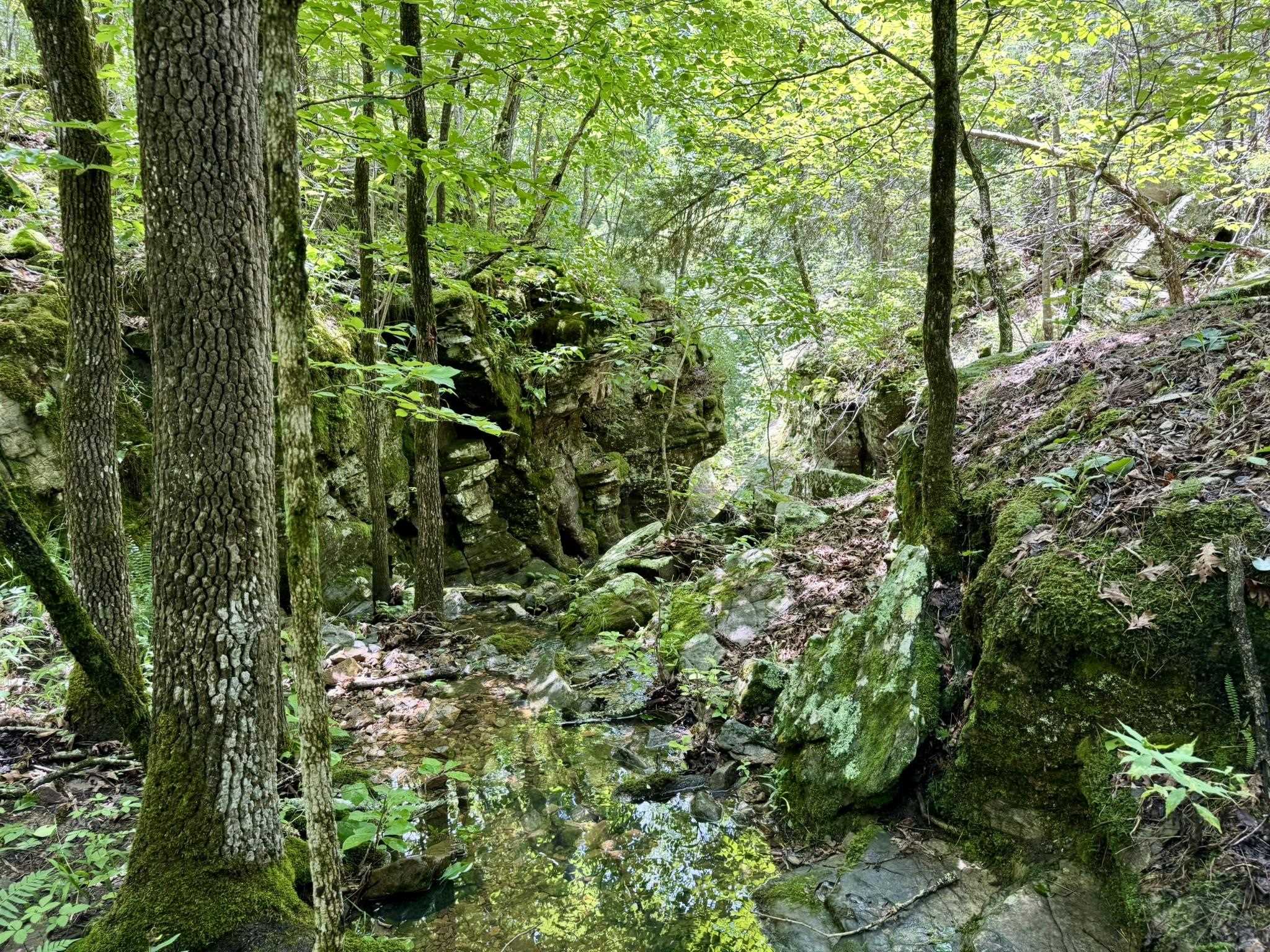 Metes & Bounds - Land