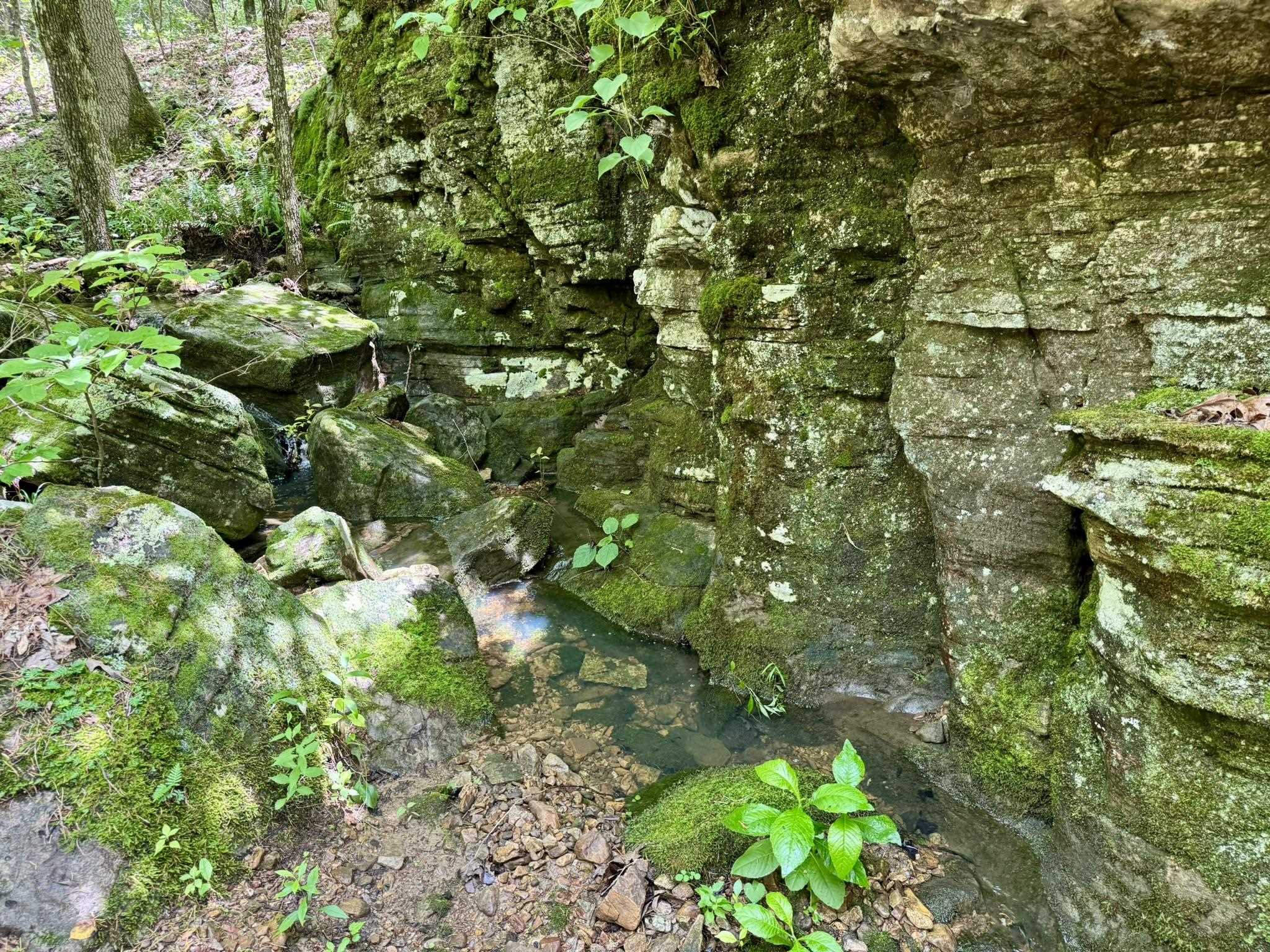 Metes & Bounds - Land