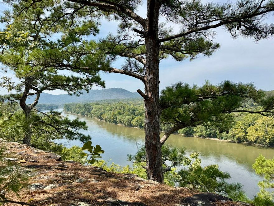 70 acres in the Ozark Mountains with breathtaking views of the White River and the National Forest! This property offers a perfect blend of open pasture and mature woods, complete with one ponds and a seasonal creek. Electric is already on site, and frontage on Mount Olive Road Great trail wind through the land, leading to the bluff’s edge where panoramic river views are truly amazing. With multiple building sites to choose from, this property is ideal for creating a private retreat with the ultimate dream home or Investment opportunity.