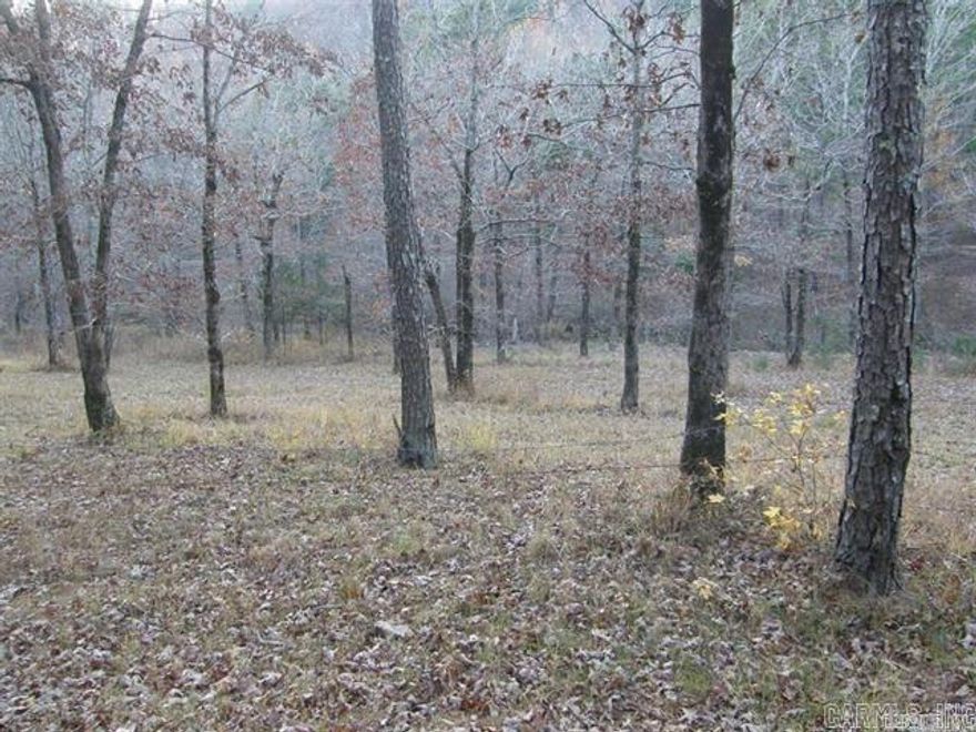 SHADY ACREAGE!  IN THE MOST DESIRABLE AND PICTURESQUE LOCATION WITH MUCH WATER.  In the midst of the Beautiful Ouachita Mountains and the Ouachita National Forest.  Joins the National Forest on 2 sides. Joins the Cossatot River. Crossed through by the beautiful Mine Creek.  Ready access to ATV trails.  Contains a campground with pavilion.  It has electricity, a well, and is believed to have a septic system.  This property would also make a desirable homesite or cabin rental service or RV rental grounds.  The Shady Area contains much beauty, much wildlife including deer, turkey, squirrels, rabbits and a few bears.  There is a church, a community building, and Thibodeaux's Country Store.  Rare property in the Shady  Mountains and joining the Cossatot River.  Offered as a surveyed 36.82 acres.  Also offered with additional acreage.  For more information, call the listing agent at 479-234-3530.  And be sure to watch the attached video mentioned above under - VIRTUAL TOUR.