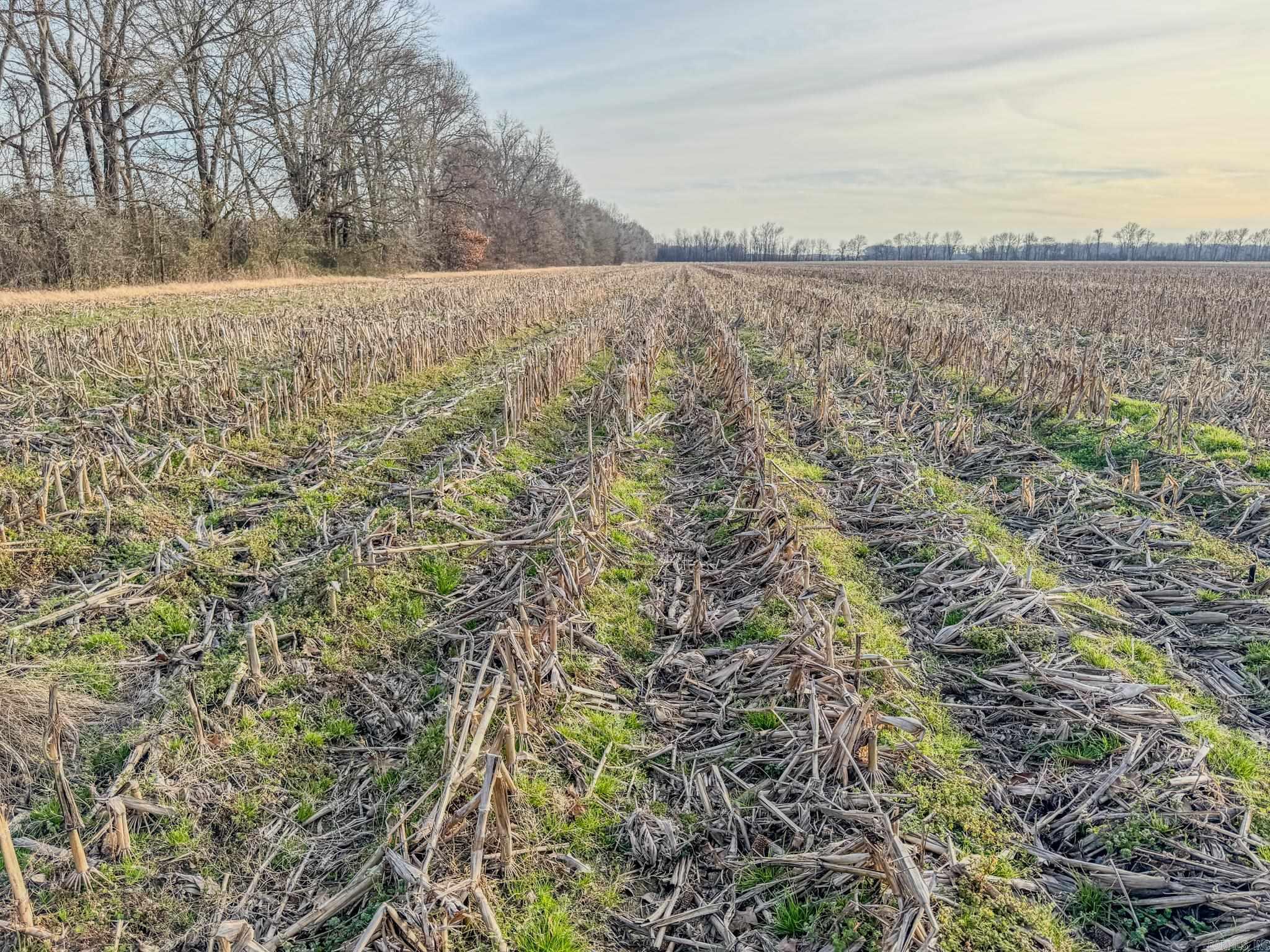 Metes & Bounds - Farm