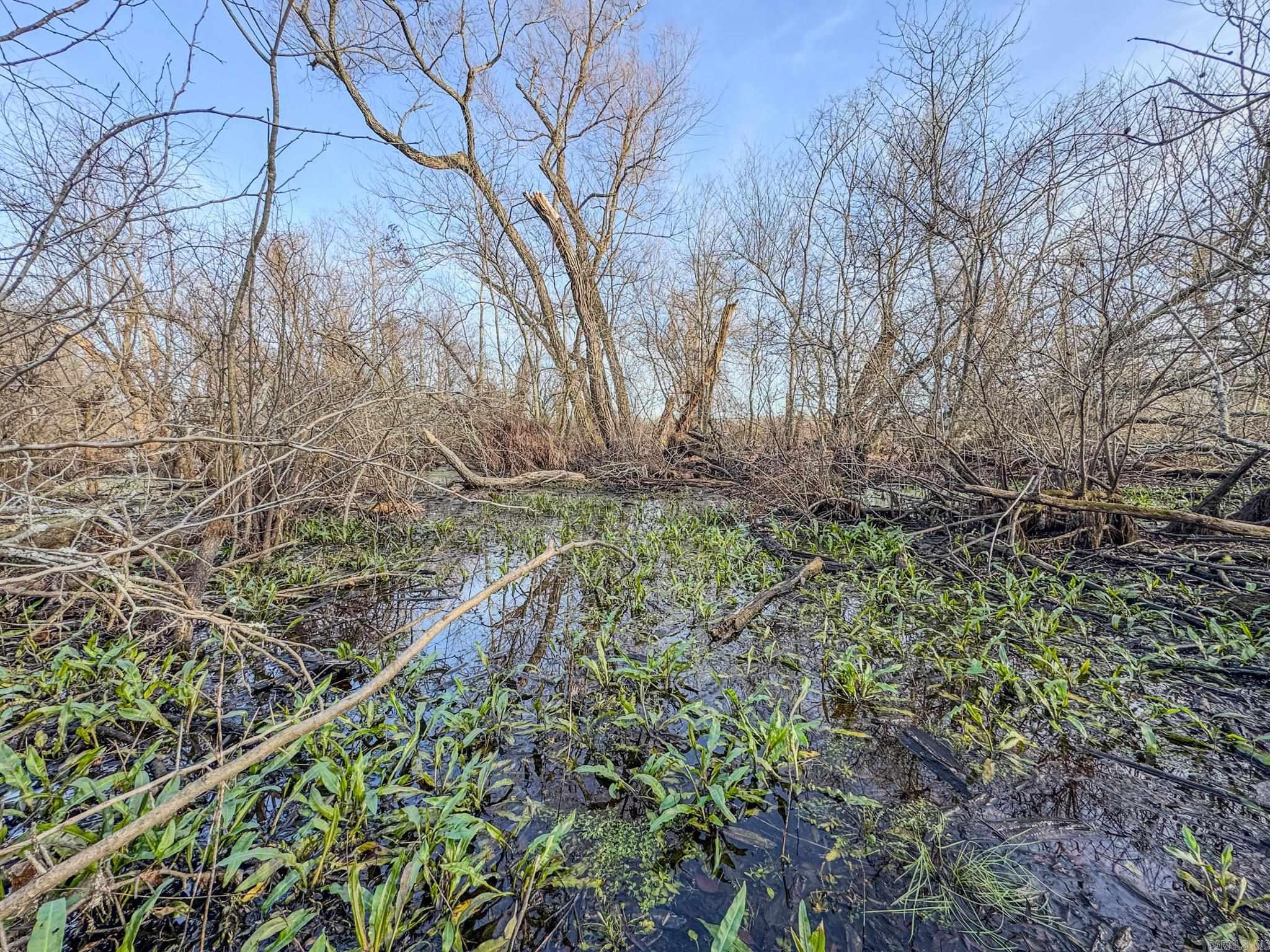 Metes & Bounds - Farm