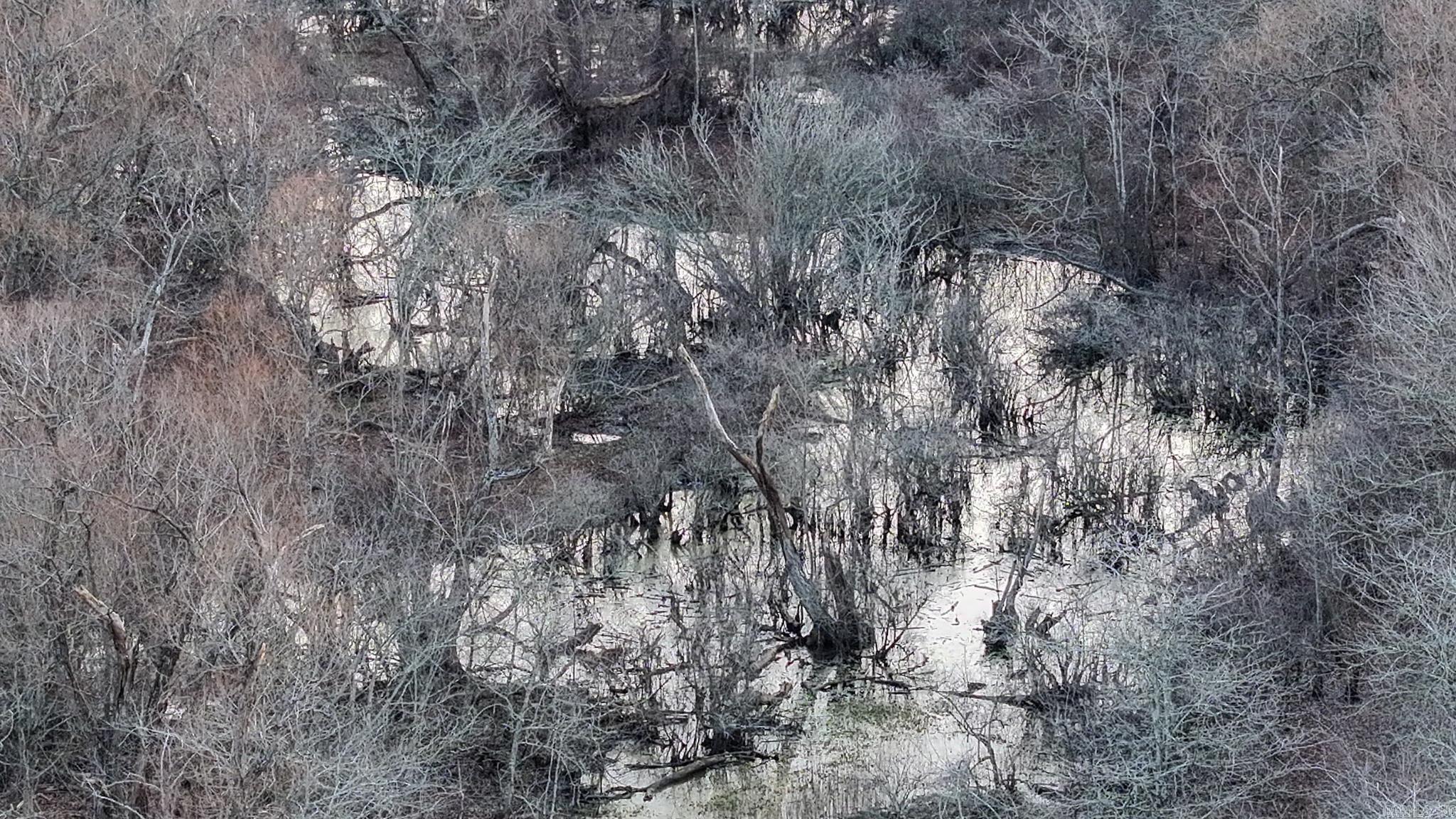 Metes & Bounds - Farm