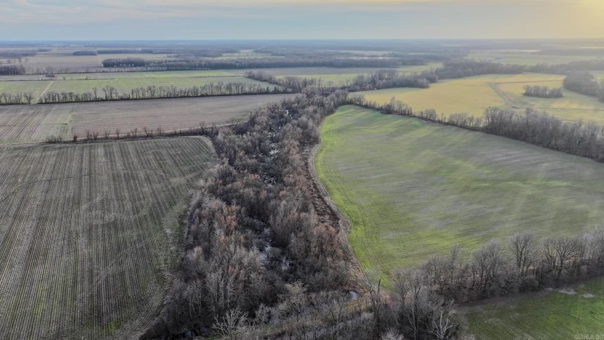 Arkansas Delta flyway farmland with income potential.  This +/-80.5 AC tract offers hunting, recreation, and income potential.  With Little Cypress Creek cutting through the middle of the property, wildlife appears in abundance. The area is home to the world's best waterfowl hunting-with high quality deer and small game hunting too.  The massive Dale Bumpers White River Refuge is minutes away.  High quality farmland, +/-42 acres of irrigated and +/-22 acres of non-irrigated, is found here.  These soils have potential for crop rotation-not just continual beans (See Crop History Graphics in Photos/Maps).  Or, the new owner could convert the entire property to hunting, recreation and conservation.  The property is a short distance from HWY 49 and an easy drive to Memphis or Little Rock.    Maps are provided in the Photo/Maps section.   Fuel tank and power unit shown with well are not part of offering.   All areas and distances stated are estimates.  All possible uses are opinions and pursuit of those uses is subject to regulatory approval.