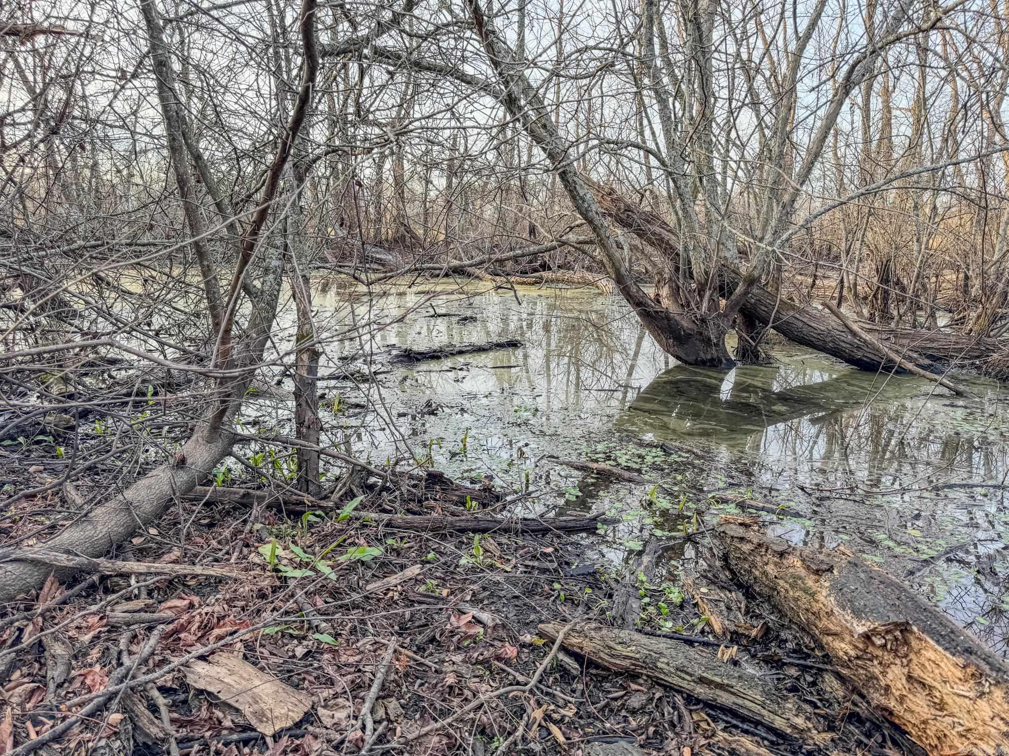 Metes & Bounds - Farm