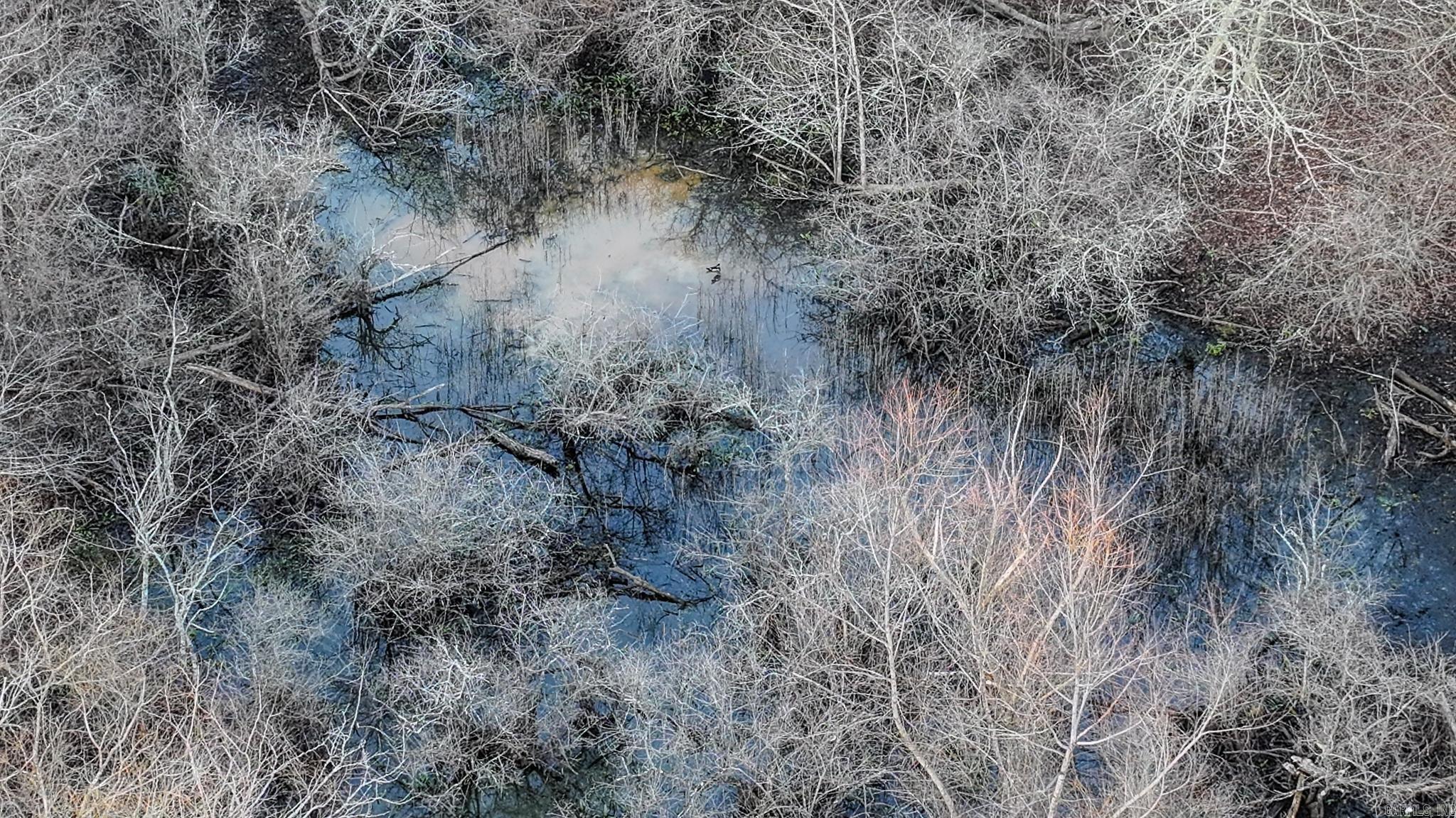 Metes & Bounds - Farm