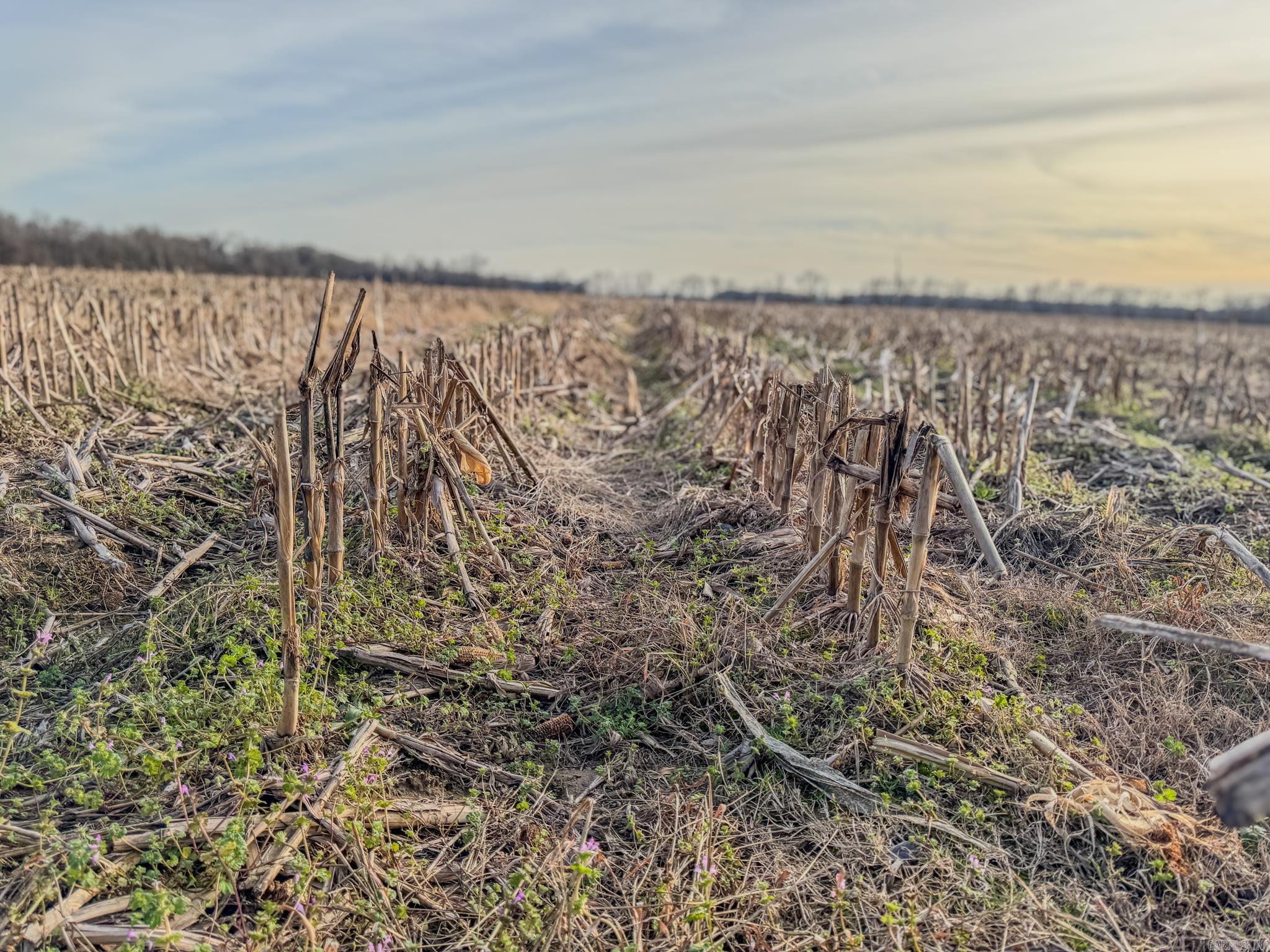 Metes & Bounds - Farm