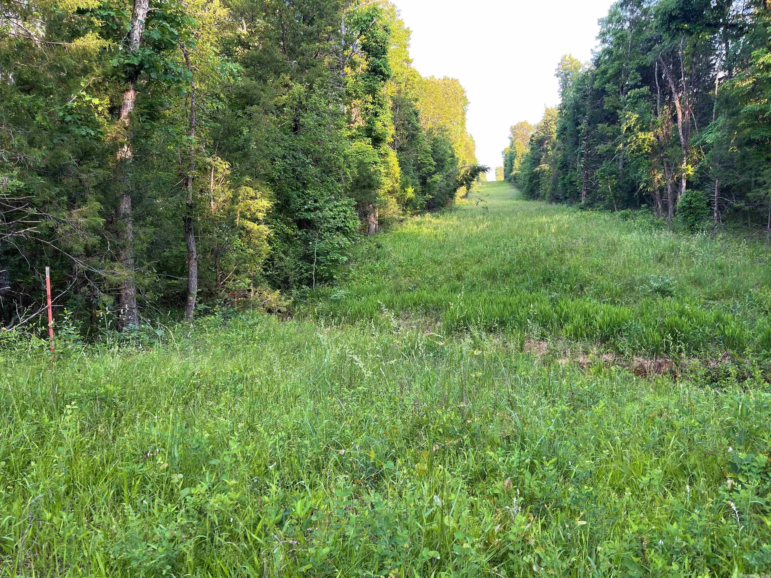 Not in Subdivision - Land